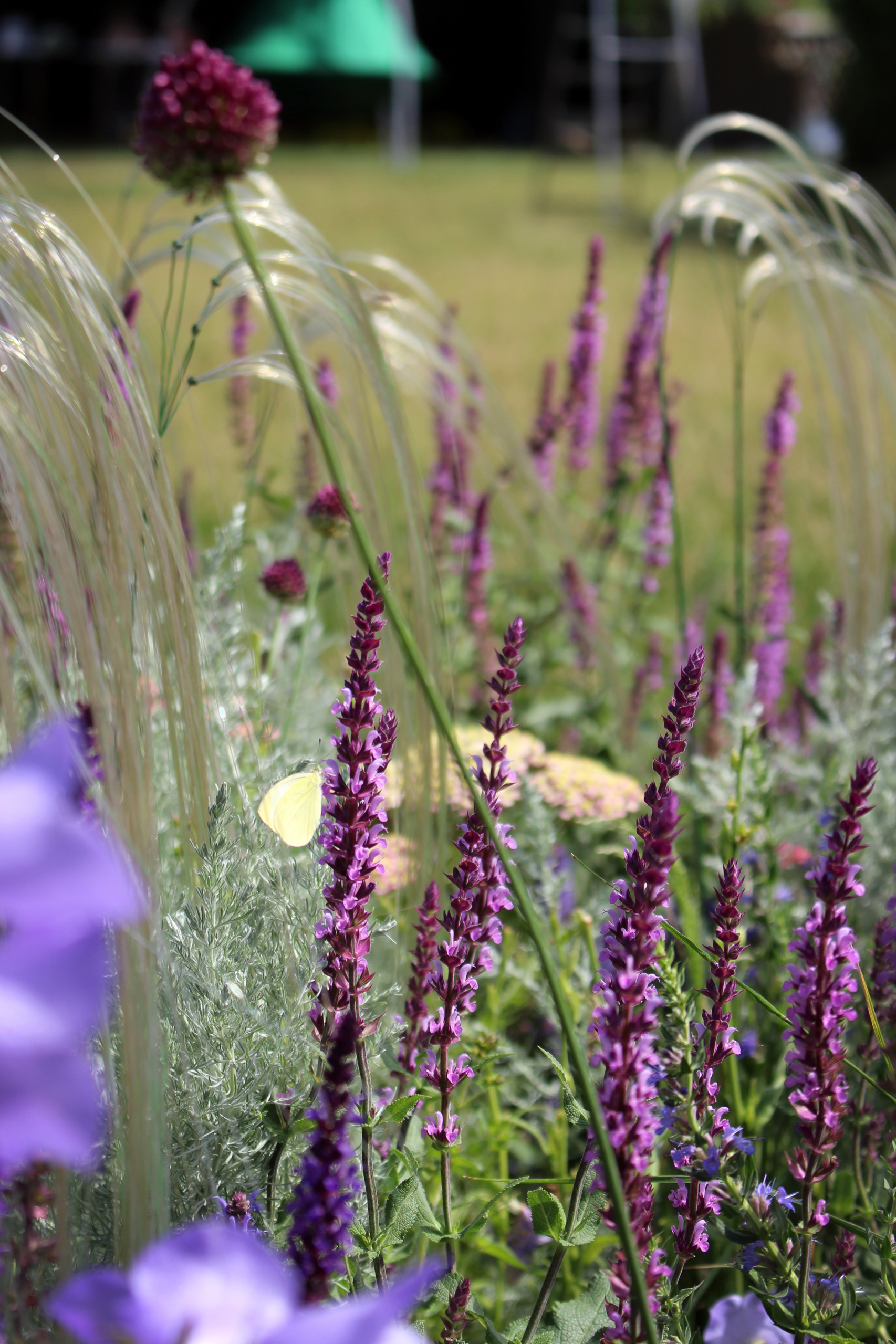 Проект недели: Серебряный ветер в саду из Белгорода