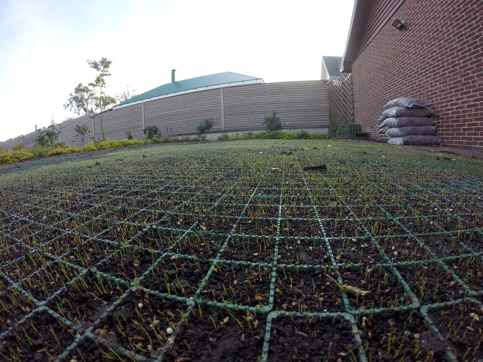 Level Up: Создаем сад после недавней постройки дома