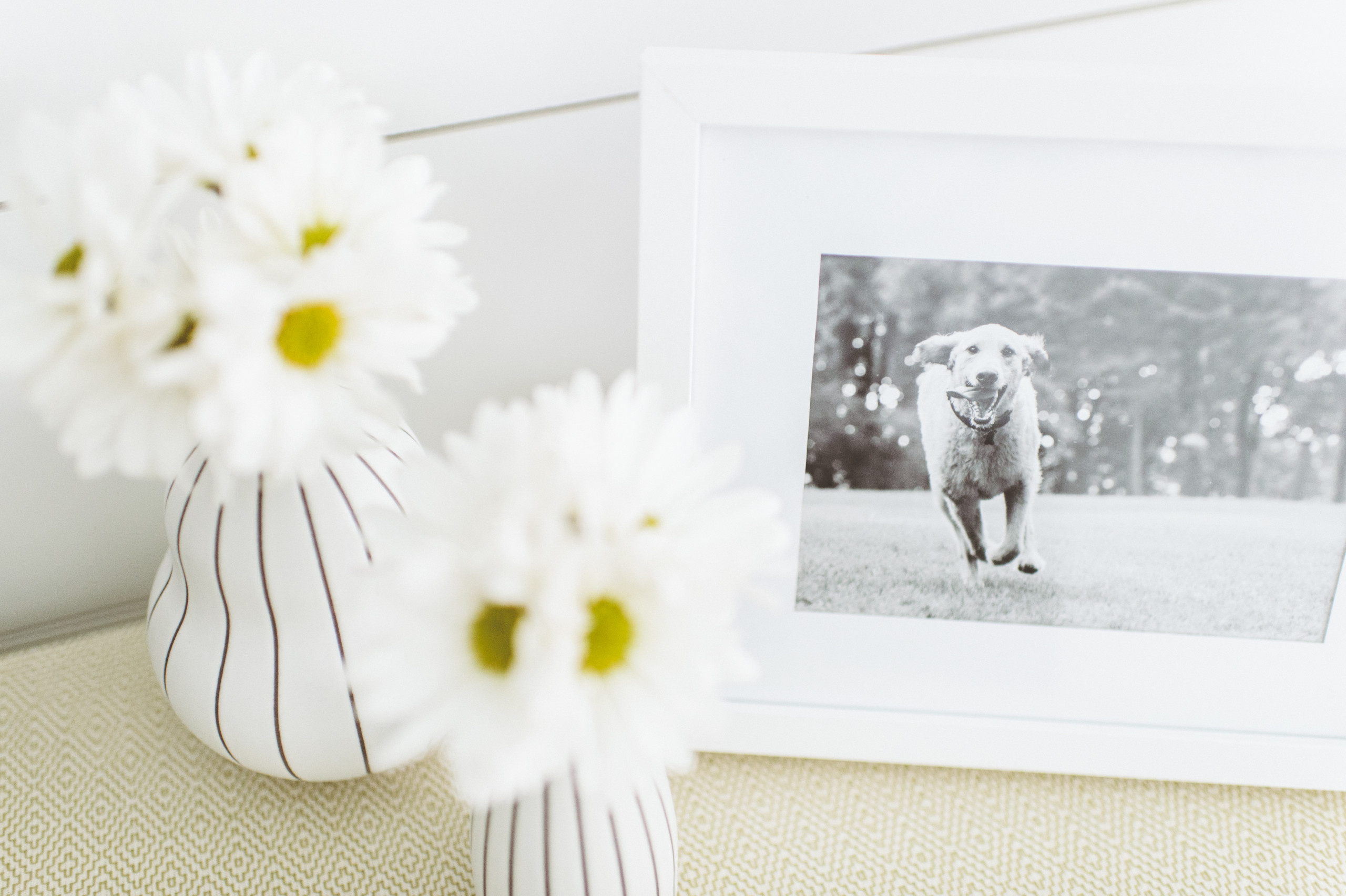 Как красиво оформить новую квартиру, не тратя лишних денег