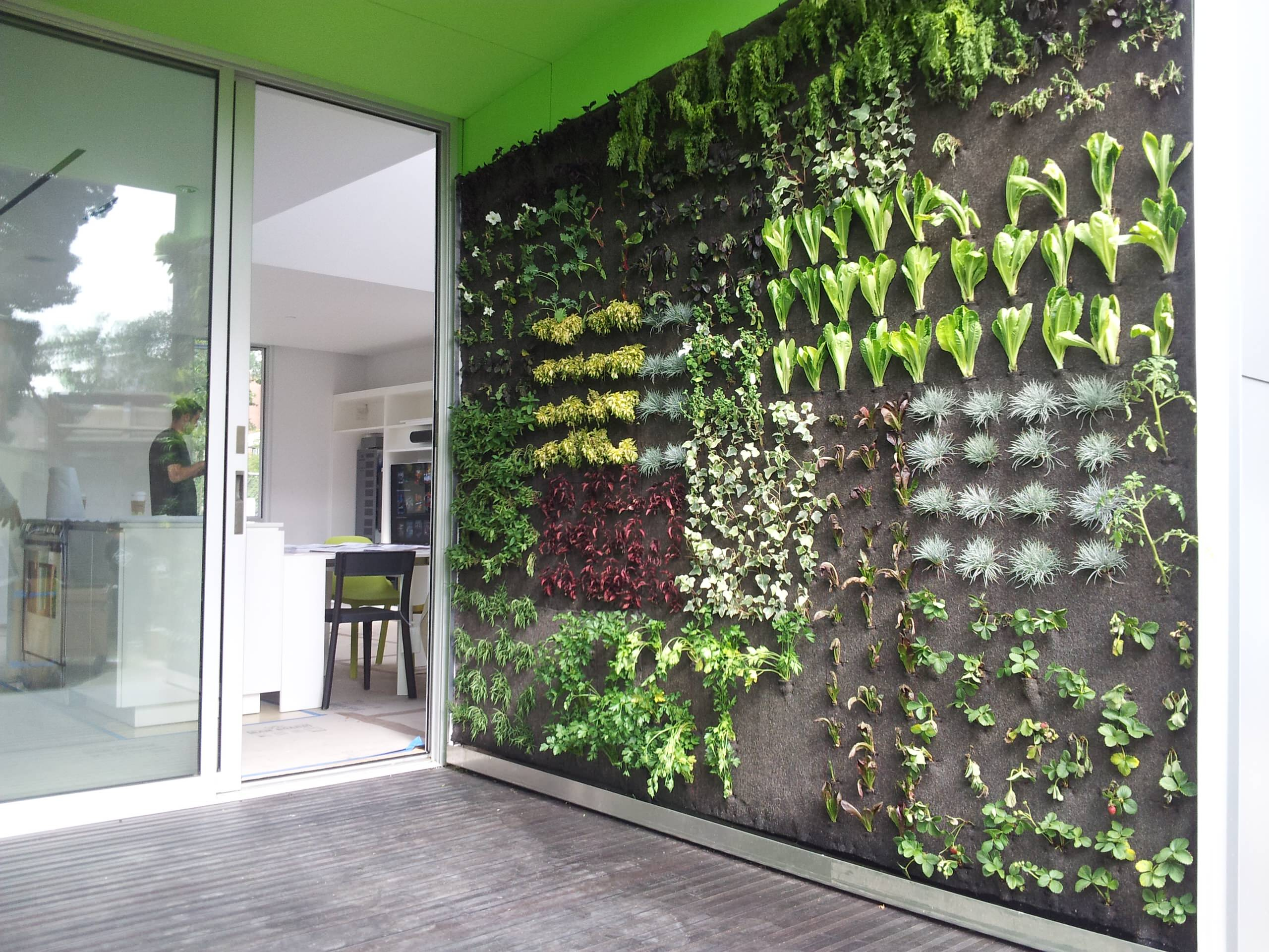 Вопрос: Чем заменить землю для растений в горшках