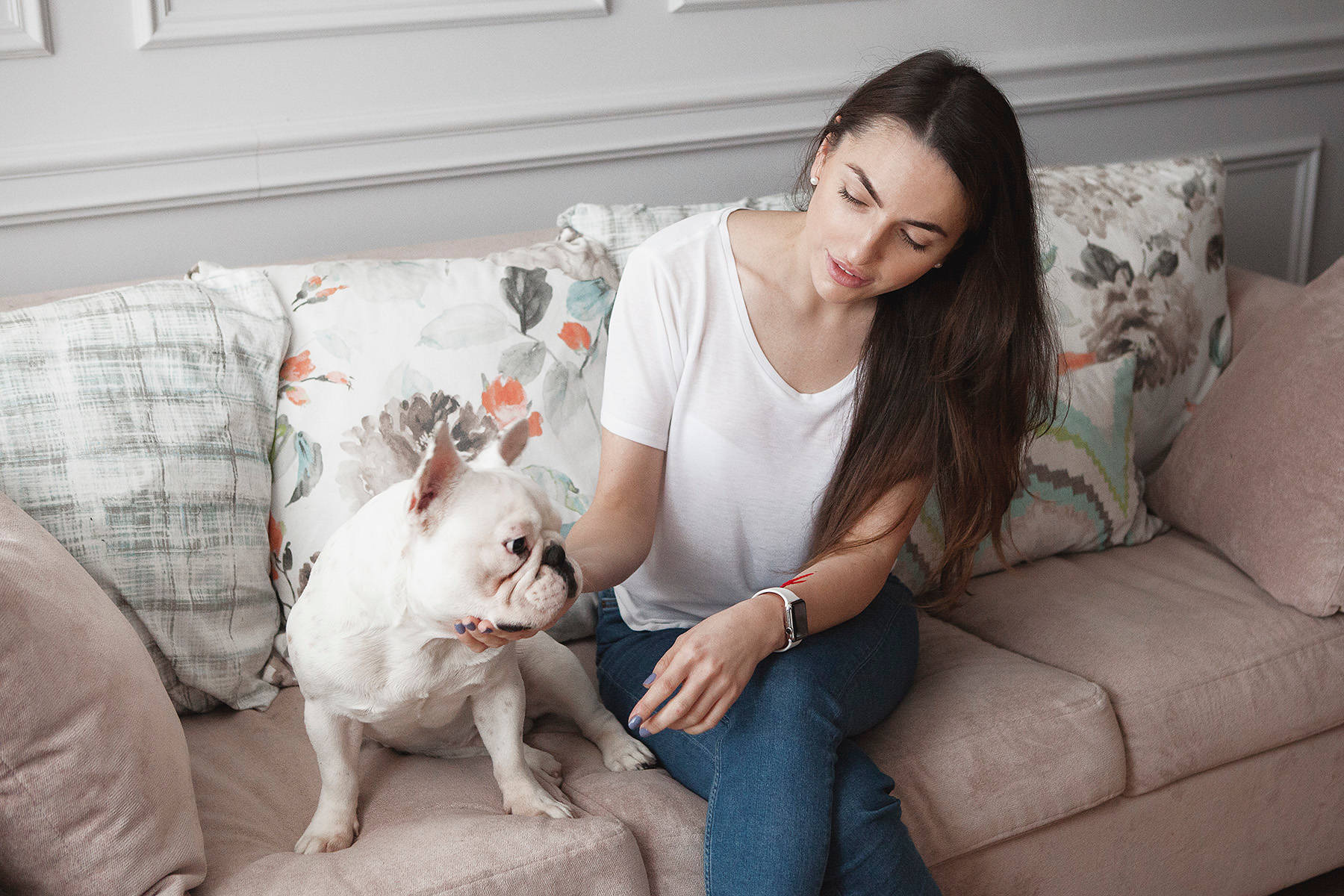 В гостях: Маленькая квартира для молодой девушки-юриста, кошки и собаки