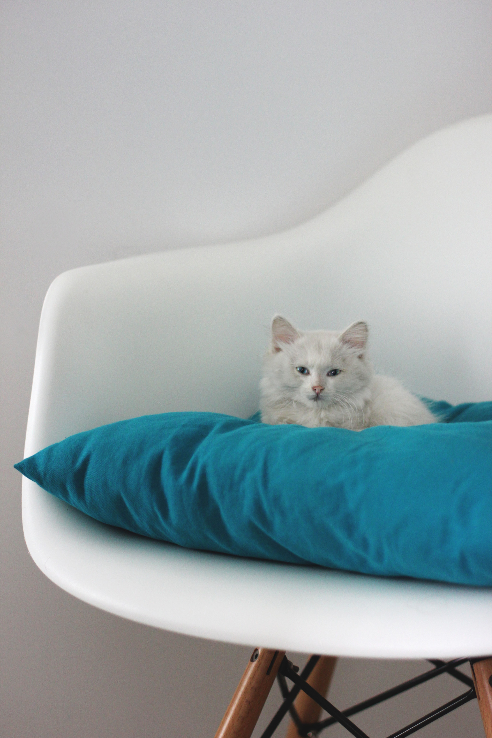 Houzz тур: Маленькая квартира в Волгограде с двухэтажной лоджией