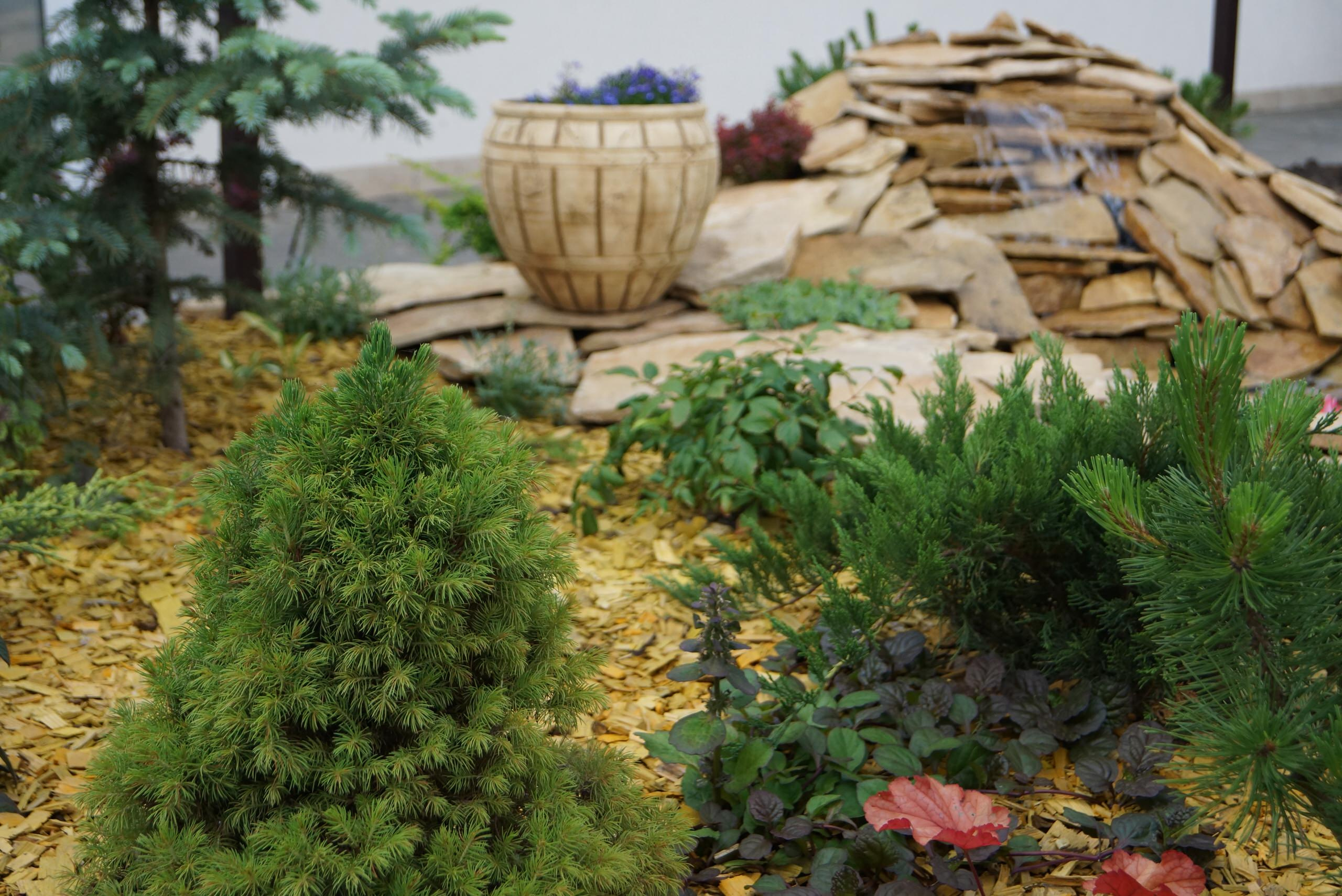 Houzz в саду: Дачный пруд в африканском стиле