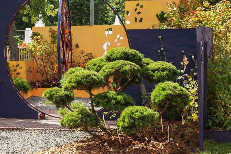 Проект недели: Три времени года в саду под Рязанью