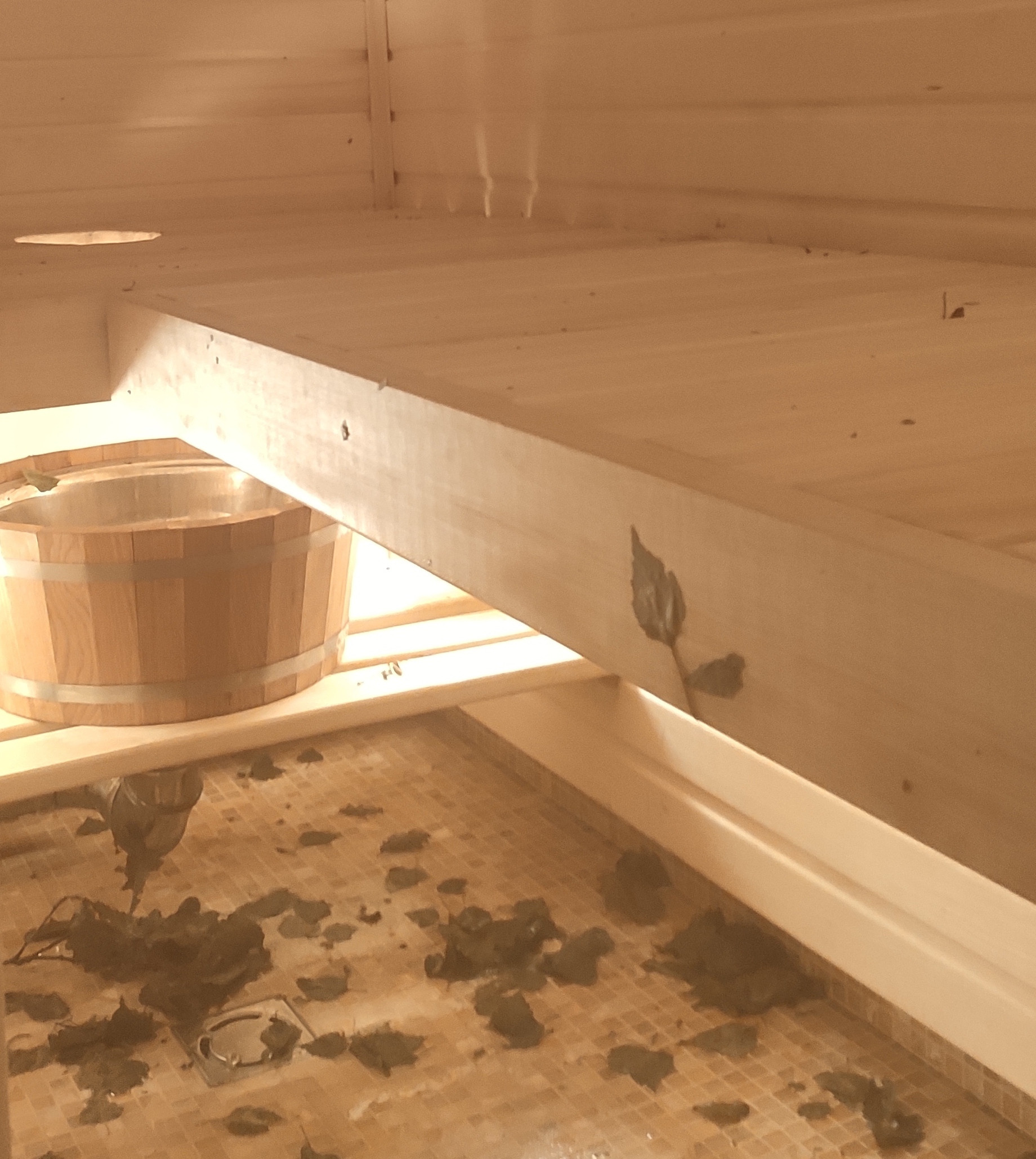 Личный опыт: Как я проектировал мини-баню в мегаполисе