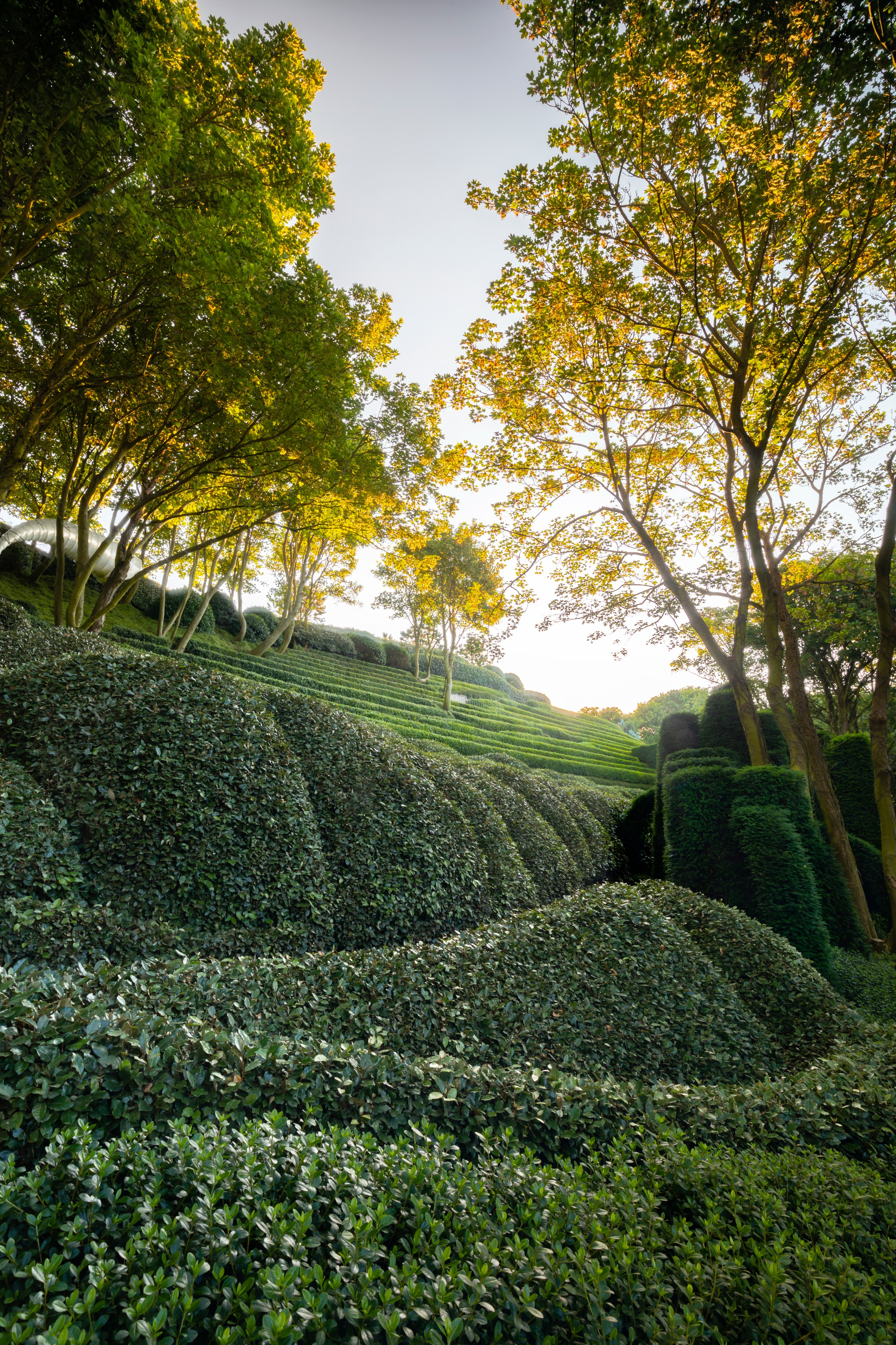 Проект недели: Сад русского дизайнера в нормандском Этретa