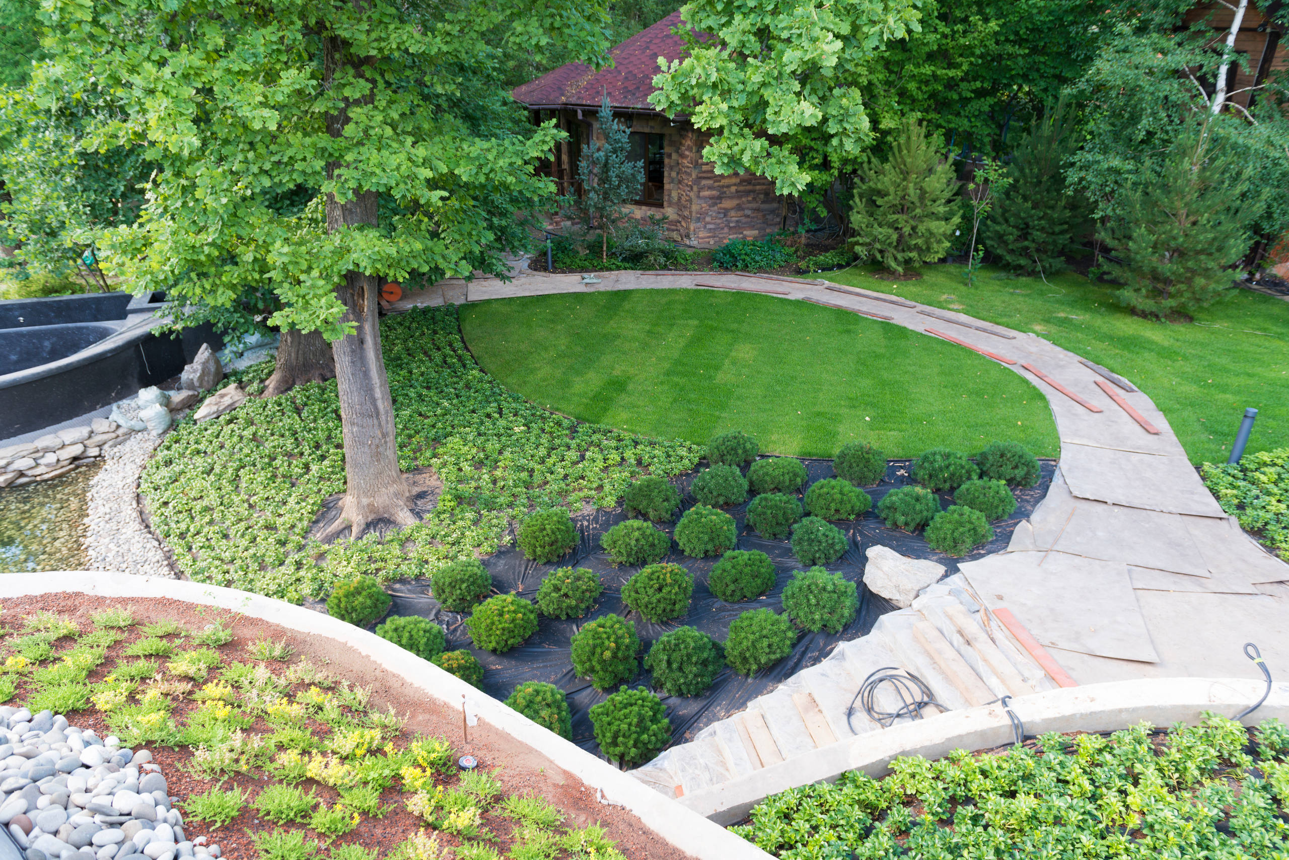 Проект недели: Сад для уникального биодома