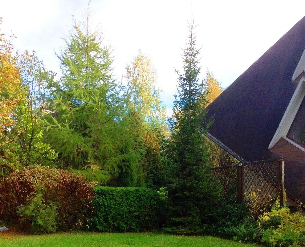 Как правильно: Выбрать деревья для будущего сада