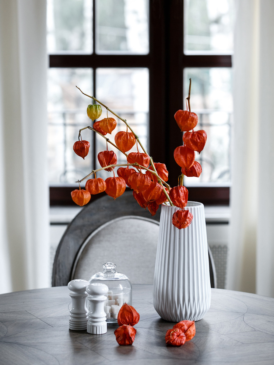 Тайный фэншуй: Какие растения в доме держать не стоит