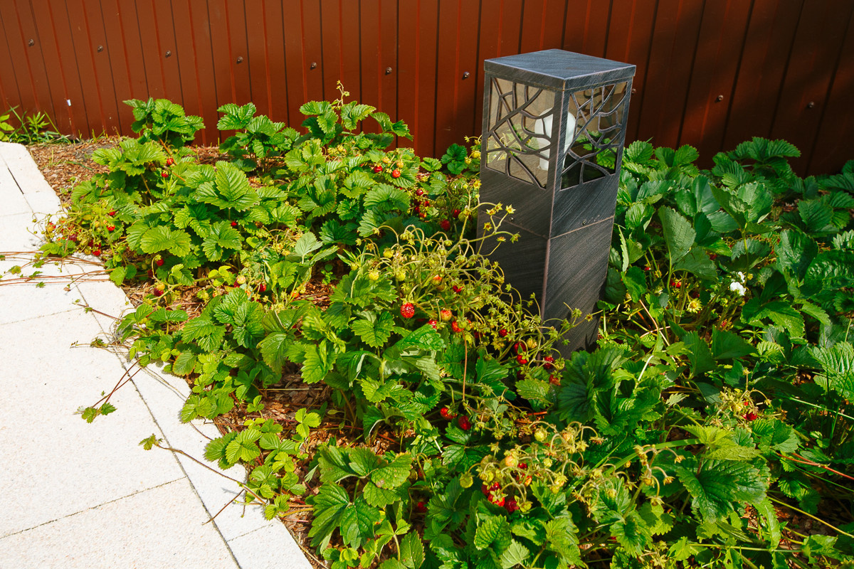 Проект недели: Три времени года в саду под Рязанью