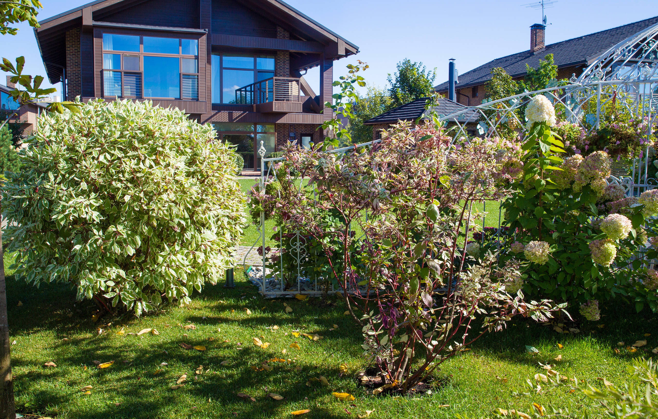 В гостях: Подмосковный сад со средиземноморским характером