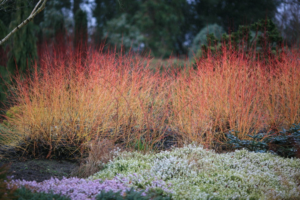 Портрет: Частные экскурсии по лучшим садам мира от центра «Гертруда»