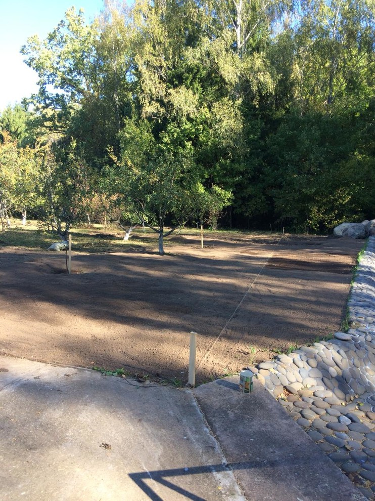 Земельный вопрос: Нужно ли покупать чернозем на участок