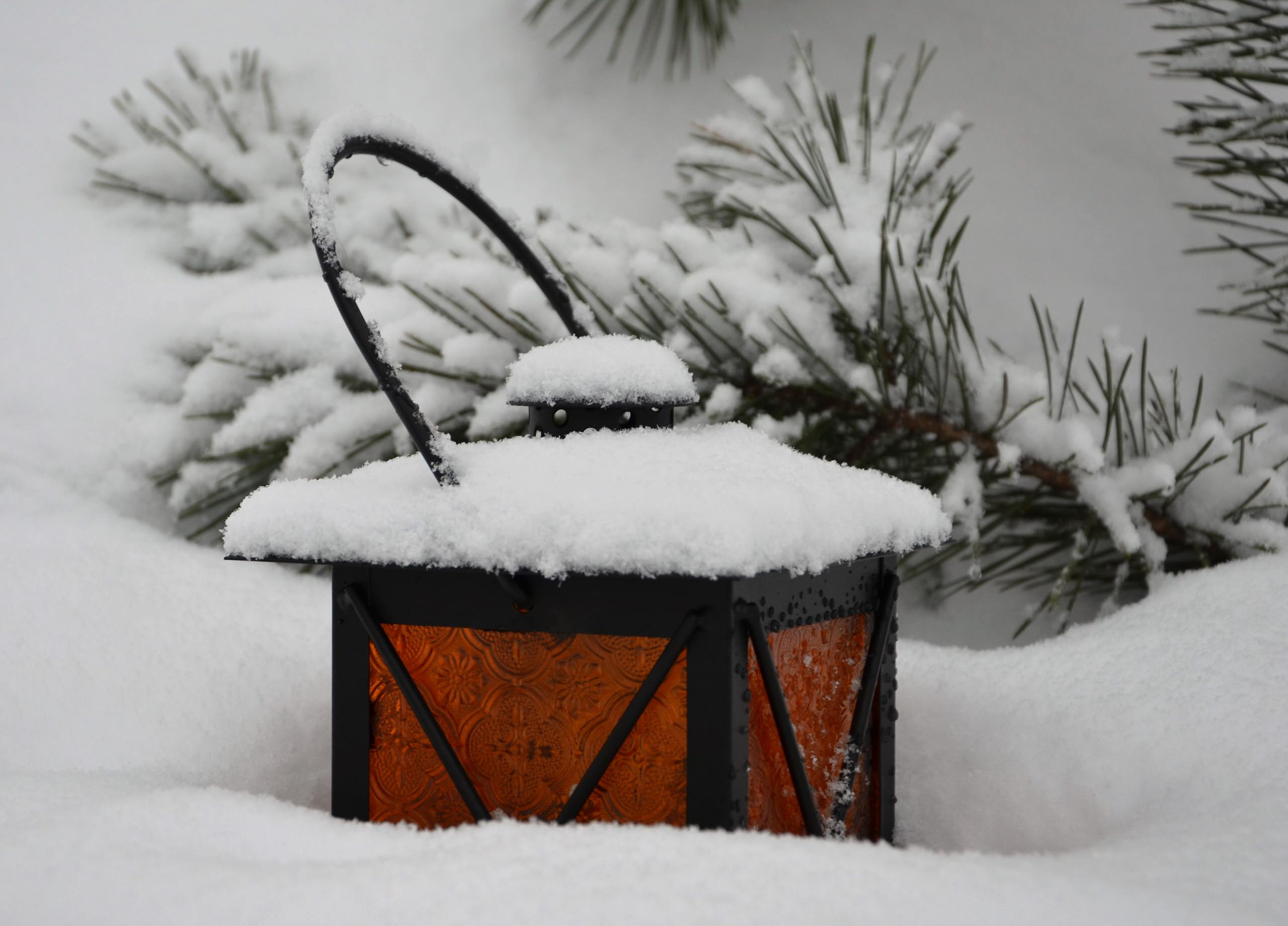 Инструкция: Проверяем документы и участок перед покупкой дома