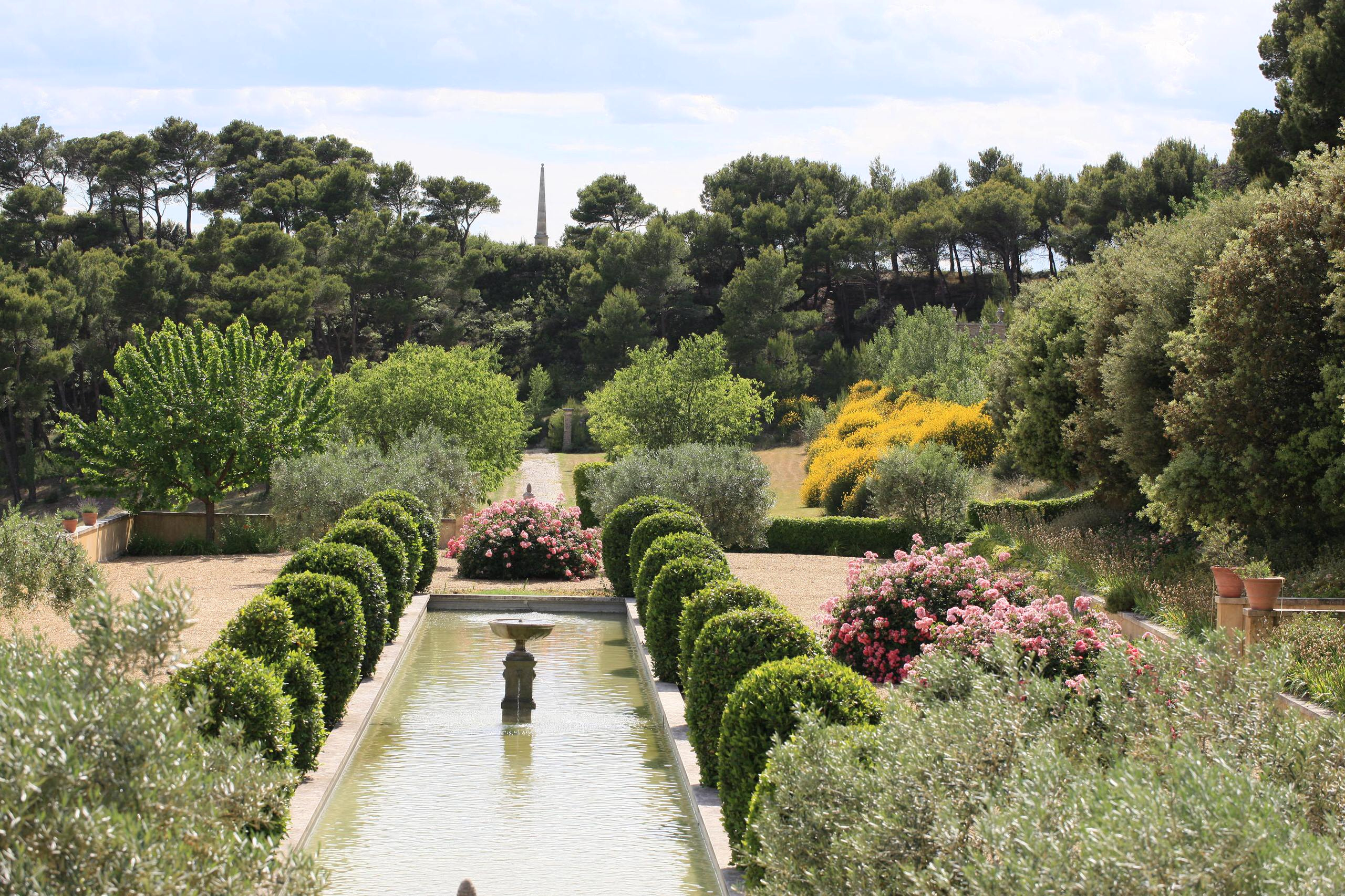 Управляй вниманием: Как показать сад во всей его красе