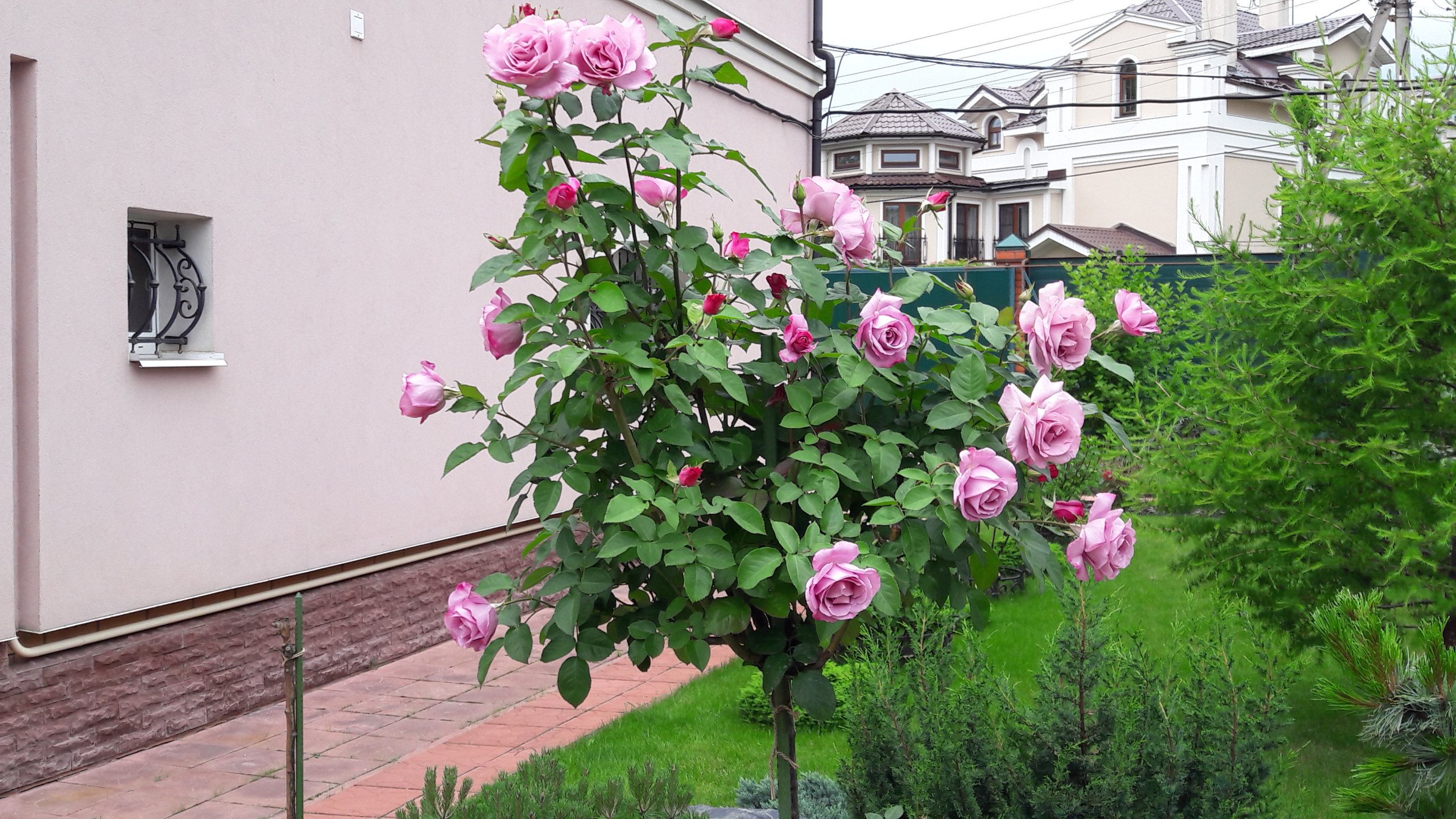 В гостях: Садик в подмосковных Рыбаках — как во Франции