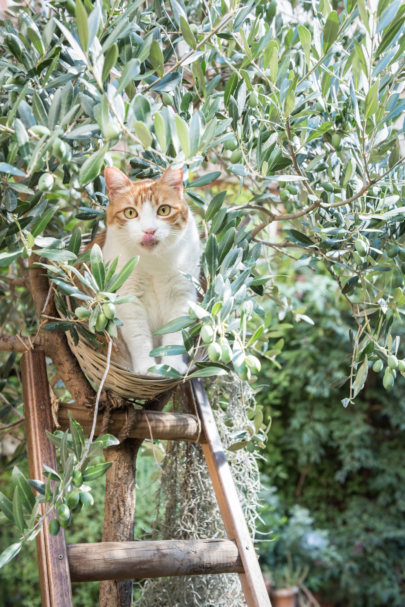 Маркетинг: Как получить выгоду от своего присутствия на Houzz
