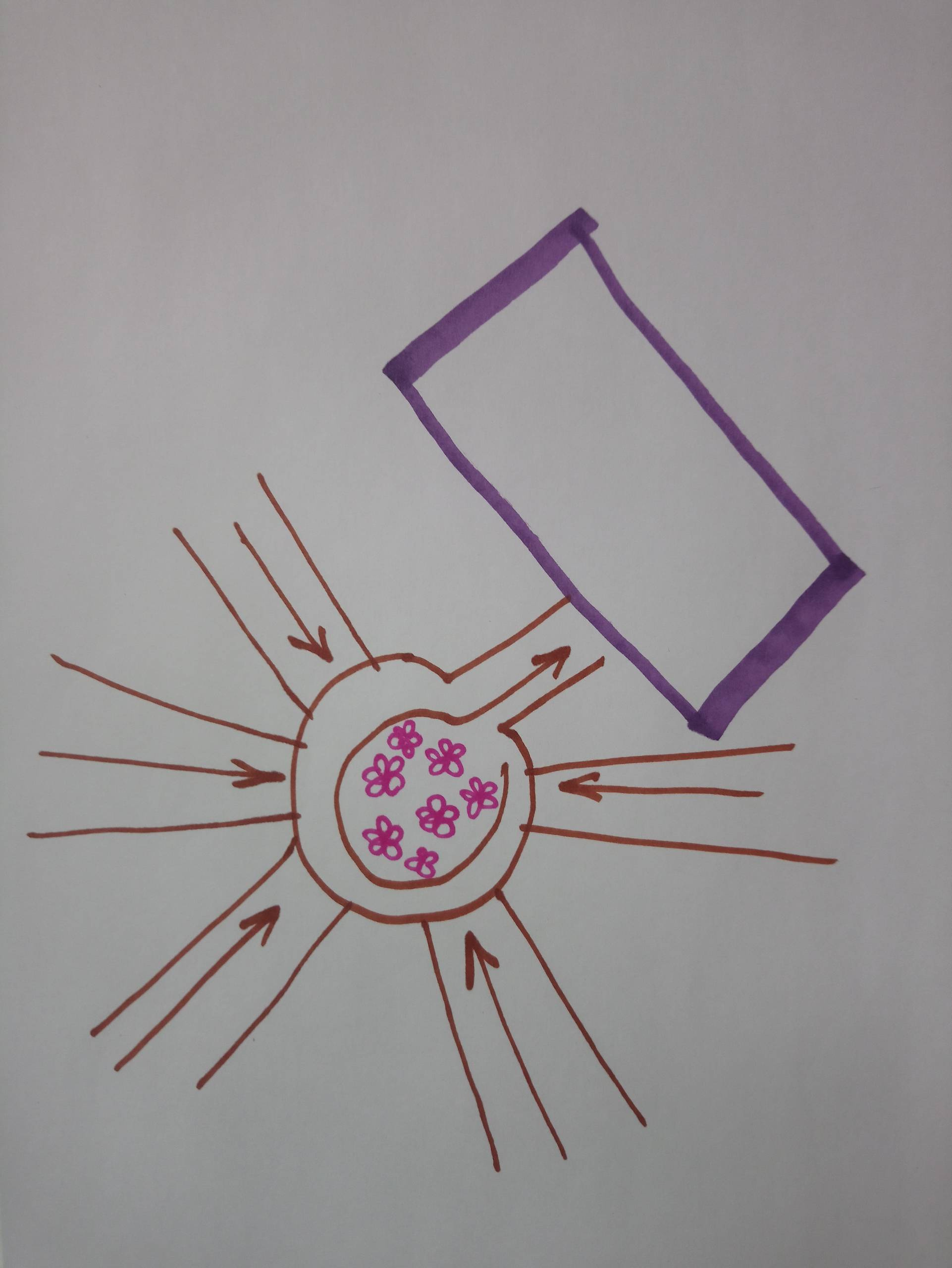 Фэншуй: Как место и положение дома влияют на живущих в нем