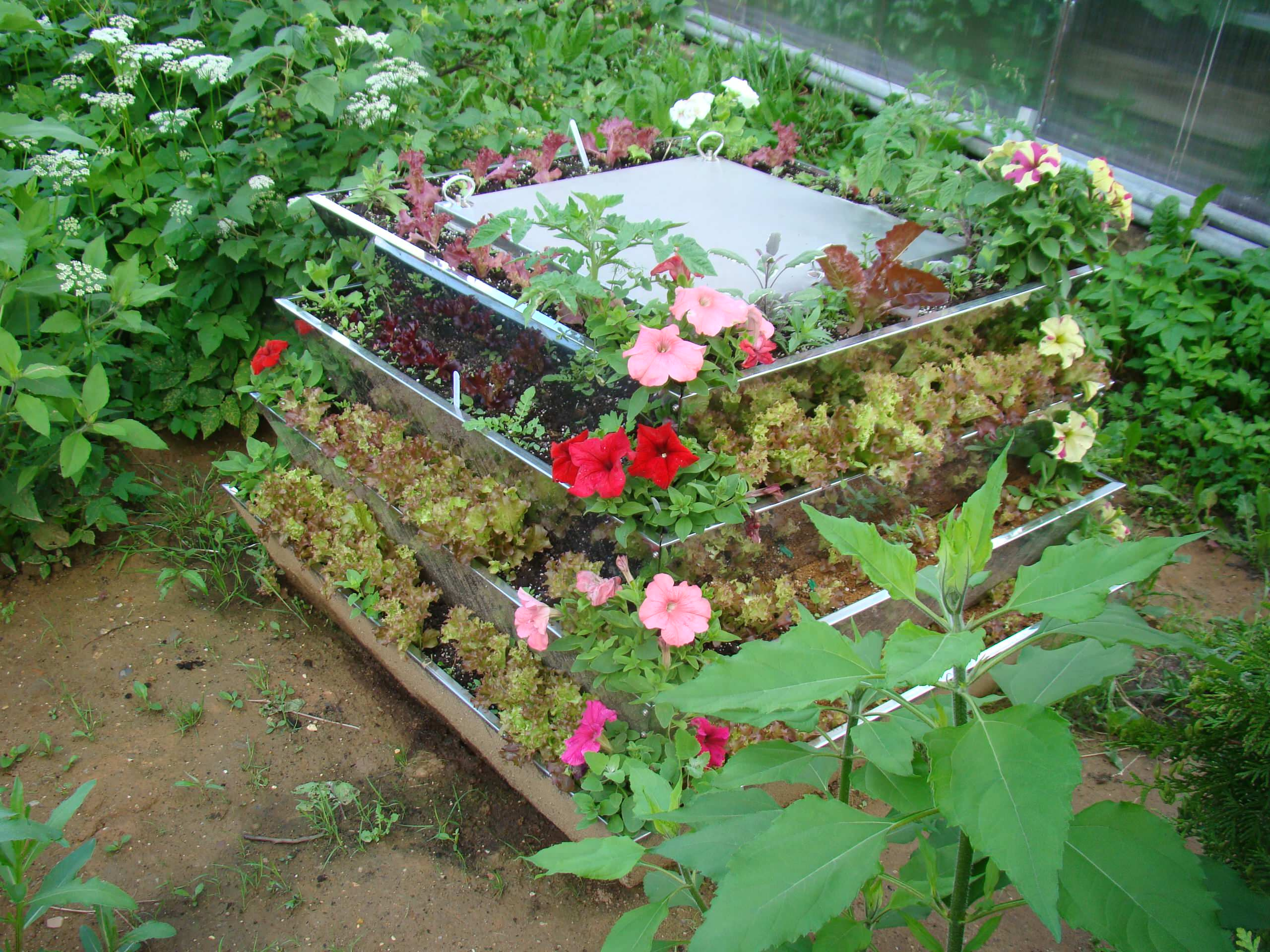 Хороший вопрос: Как сделать компост на даче и не перетрудиться