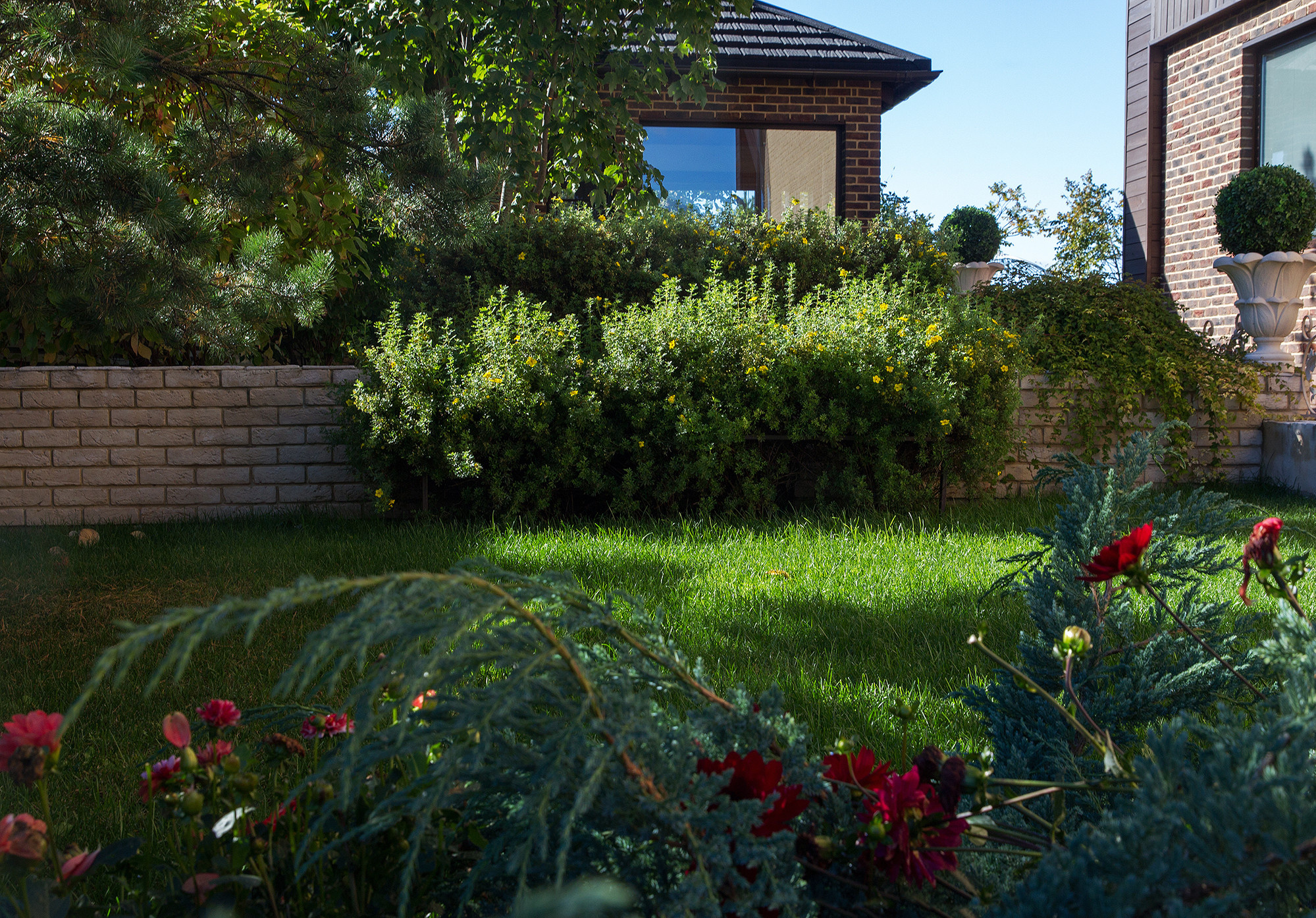 В гостях: Подмосковный сад со средиземноморским характером