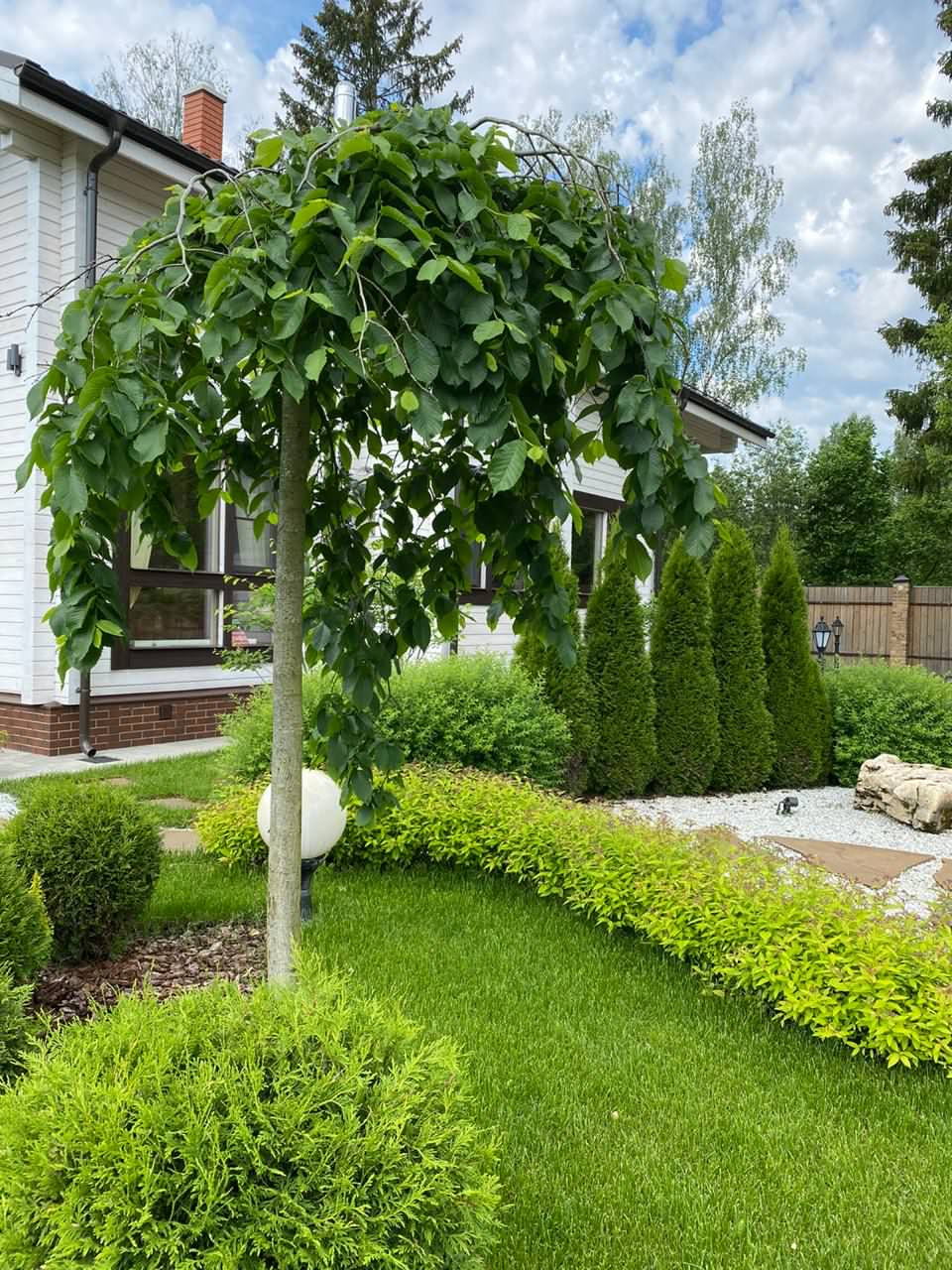 Проект недели: Трёхлетний альпийский сад в Подмосковье