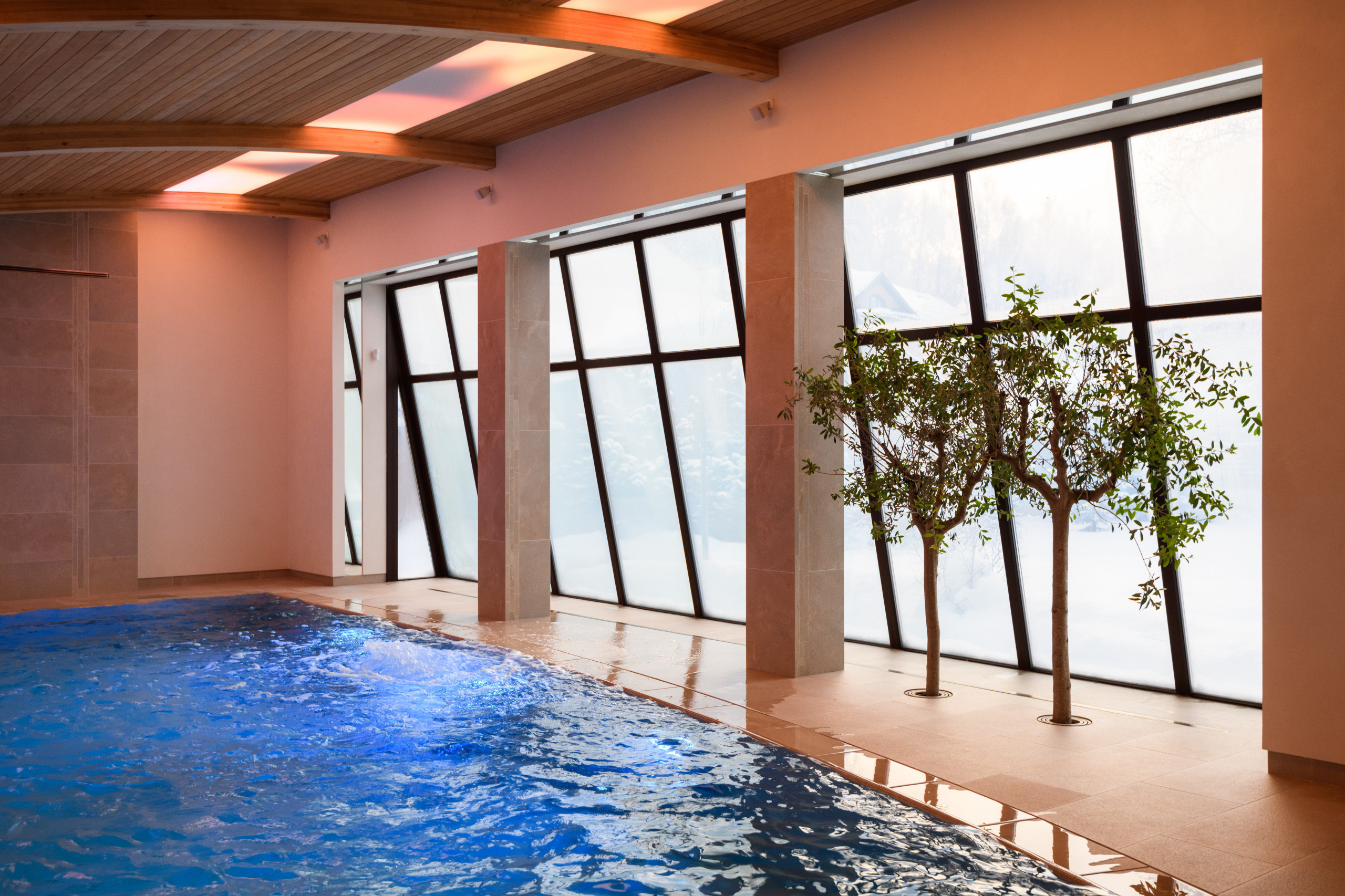 Личный опыт: Зачем я высаживала деревья внутри бассейна