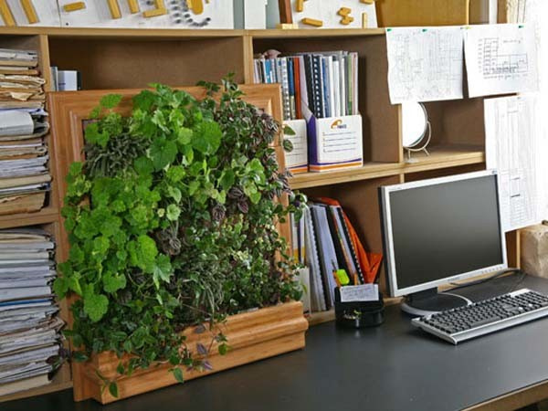 Азбука цветовода: Правила ухода за вертикальным садом