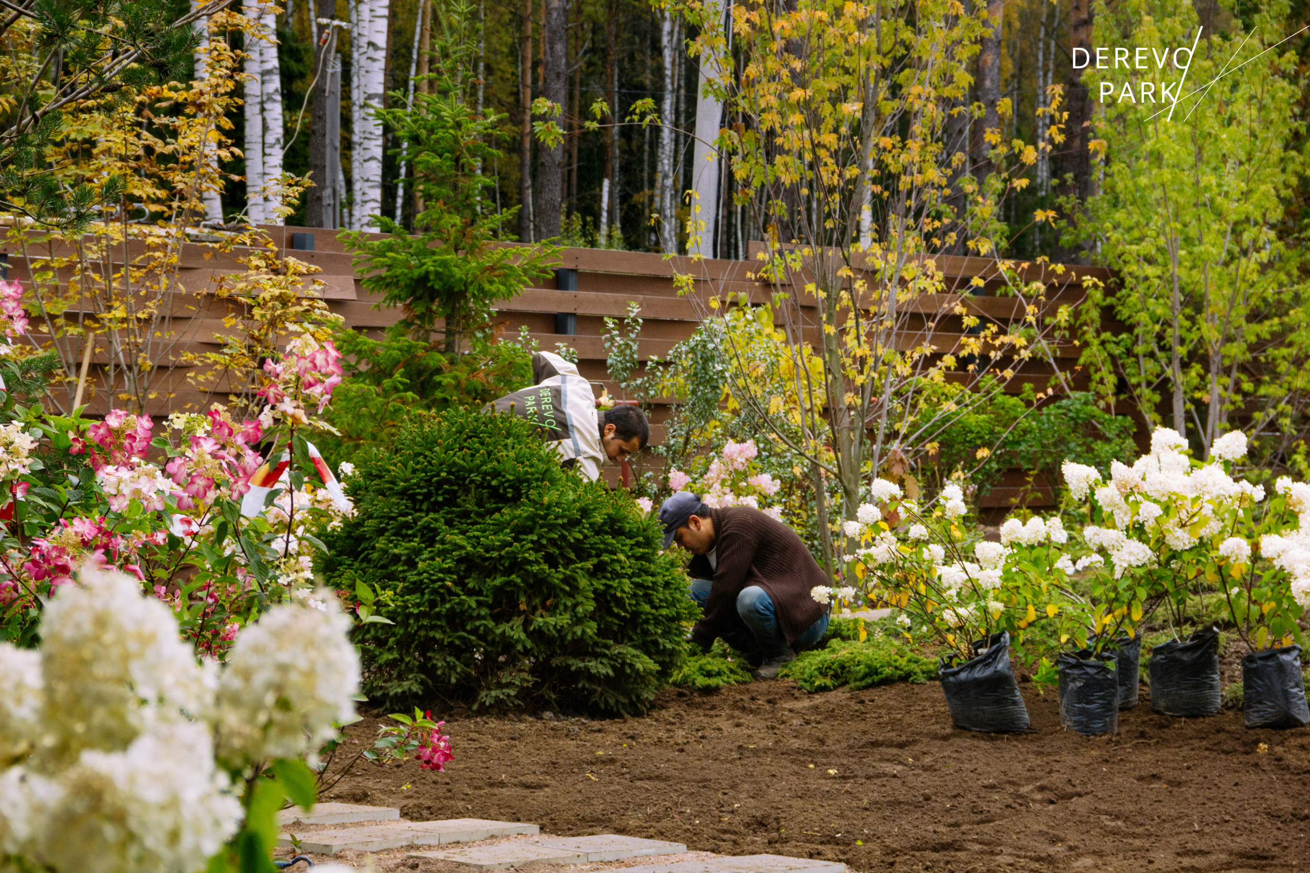 Вопрос: Что можно построить на участке осенью