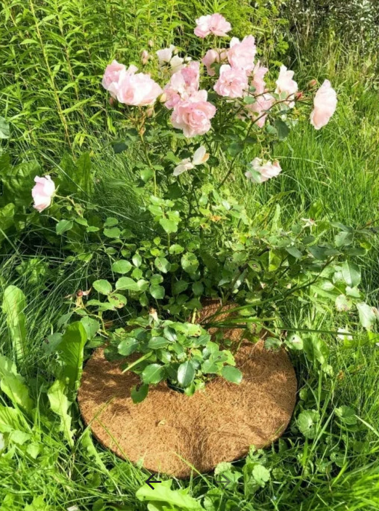 Вопрос: Какую мульчу выбрать [и зачем]