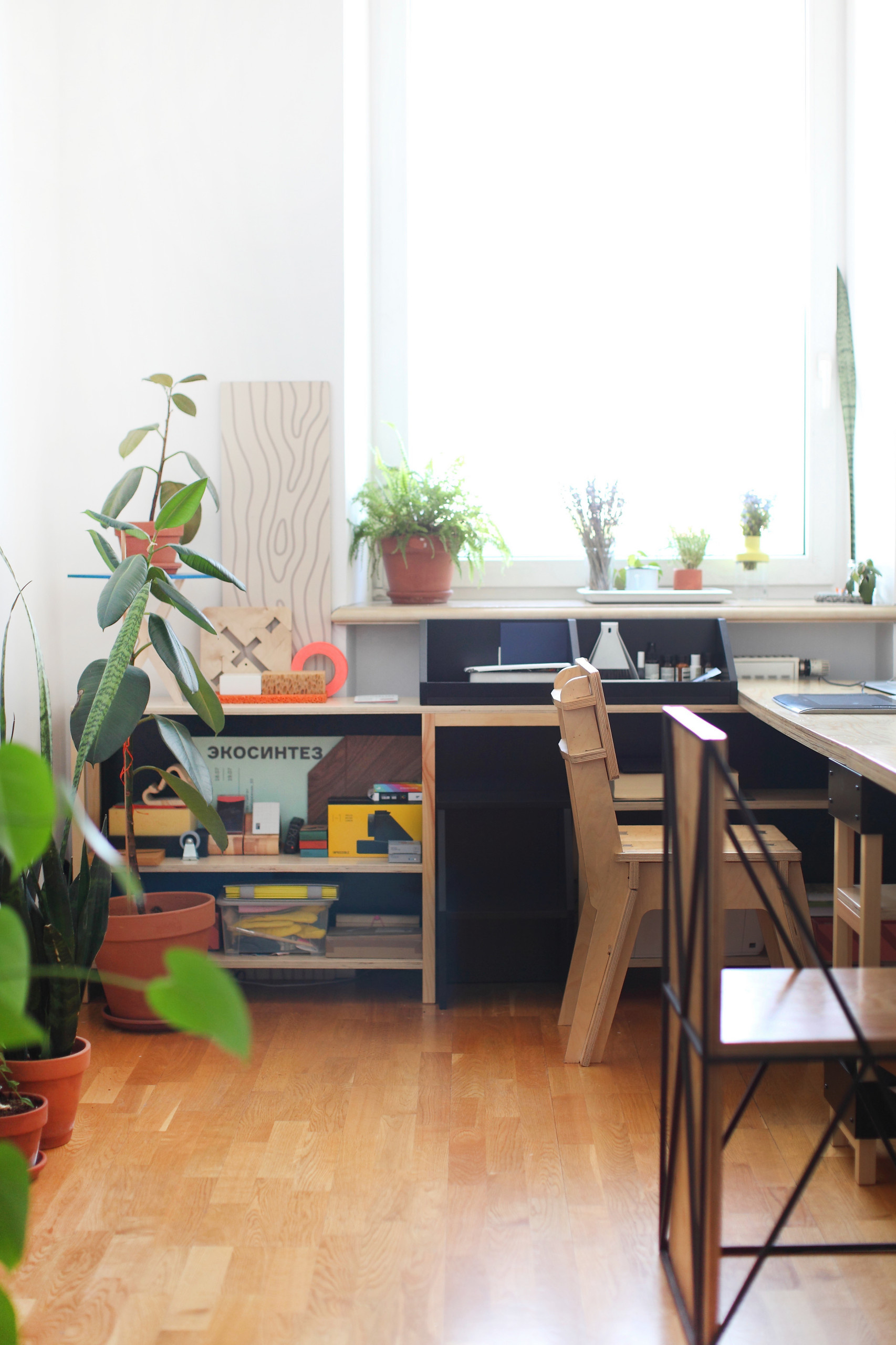 Портрет: Студия Facultative Works