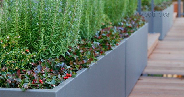 Вопрос: Сад, интерьер и зимний сад — как их связать воедино