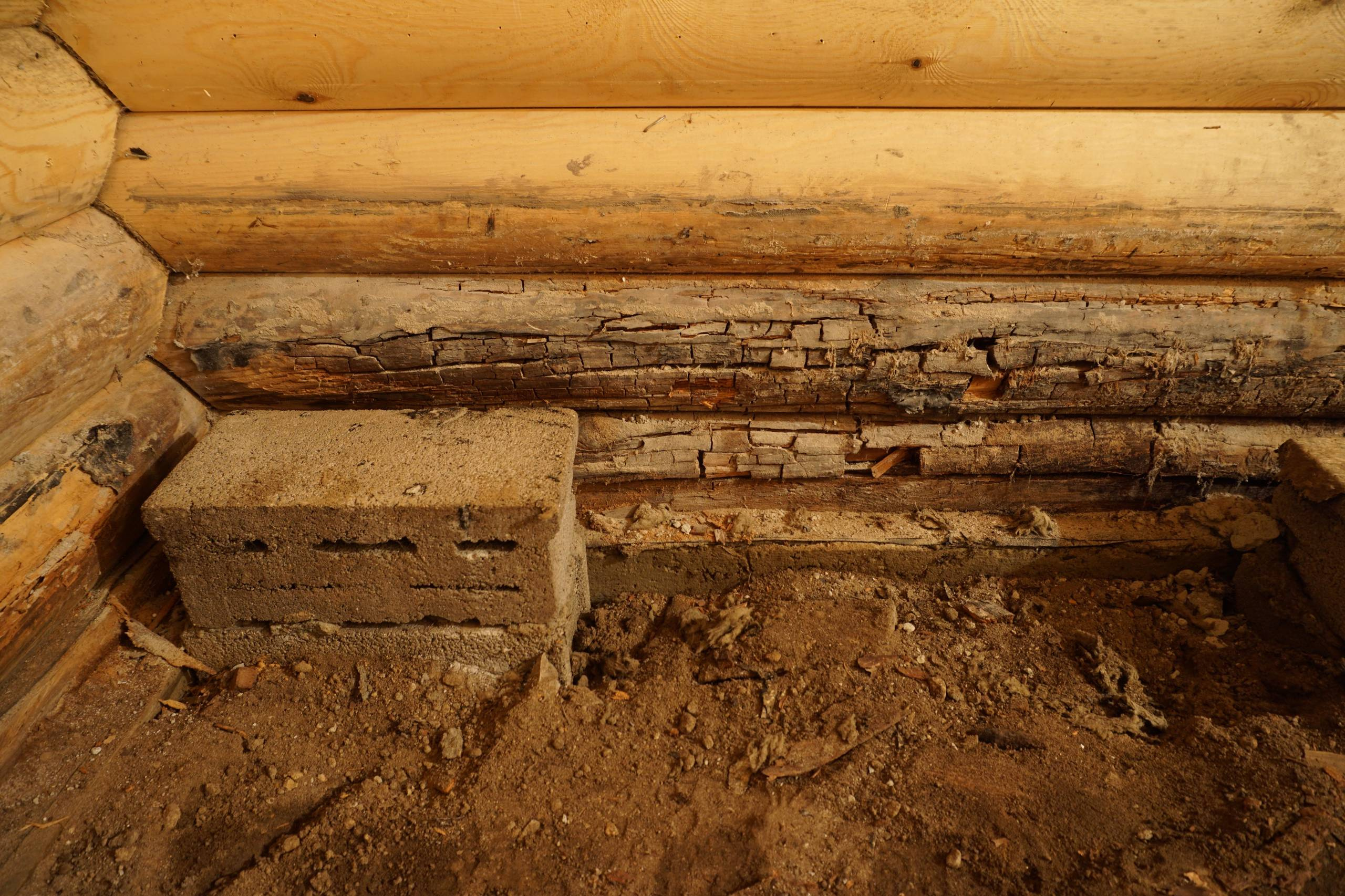 Хороший вопрос: Из чего лучше построить баню