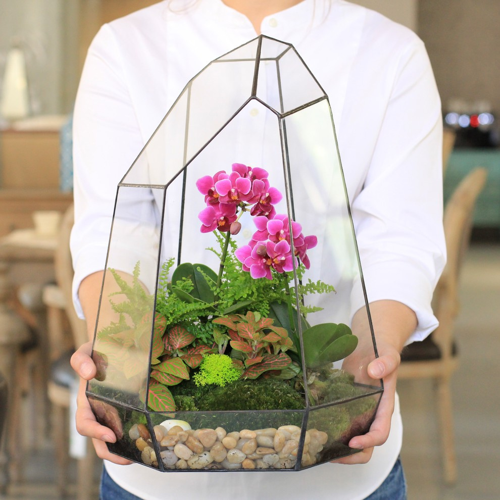 Тайный фэншуй: Все болеют, а вы — нет!