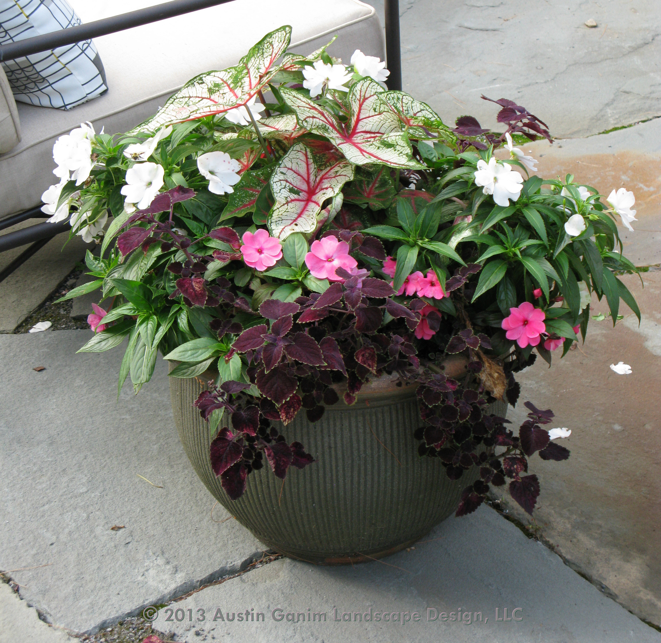 Фотоохота: 50 схем для высадки в летние кашпо