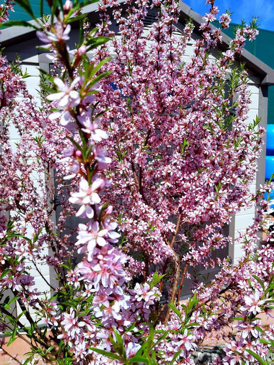 В гостях: Садик в подмосковных Рыбаках — как во Франции