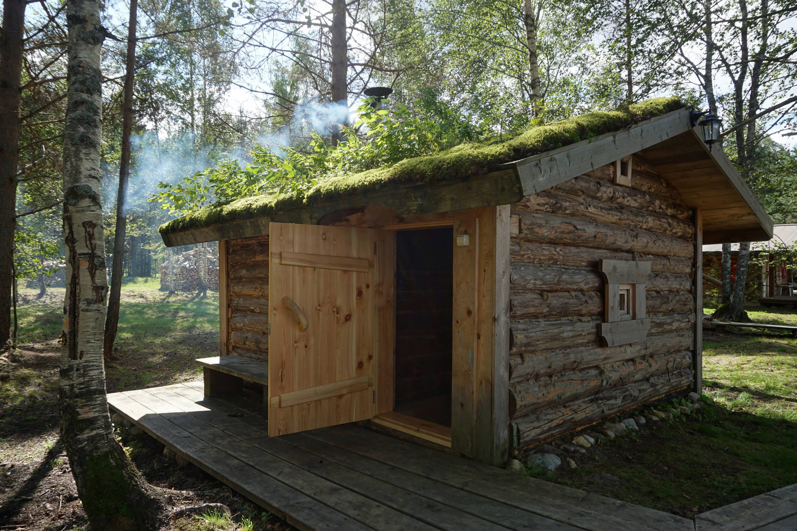 Как правильно: Фитотерапия в русской бане