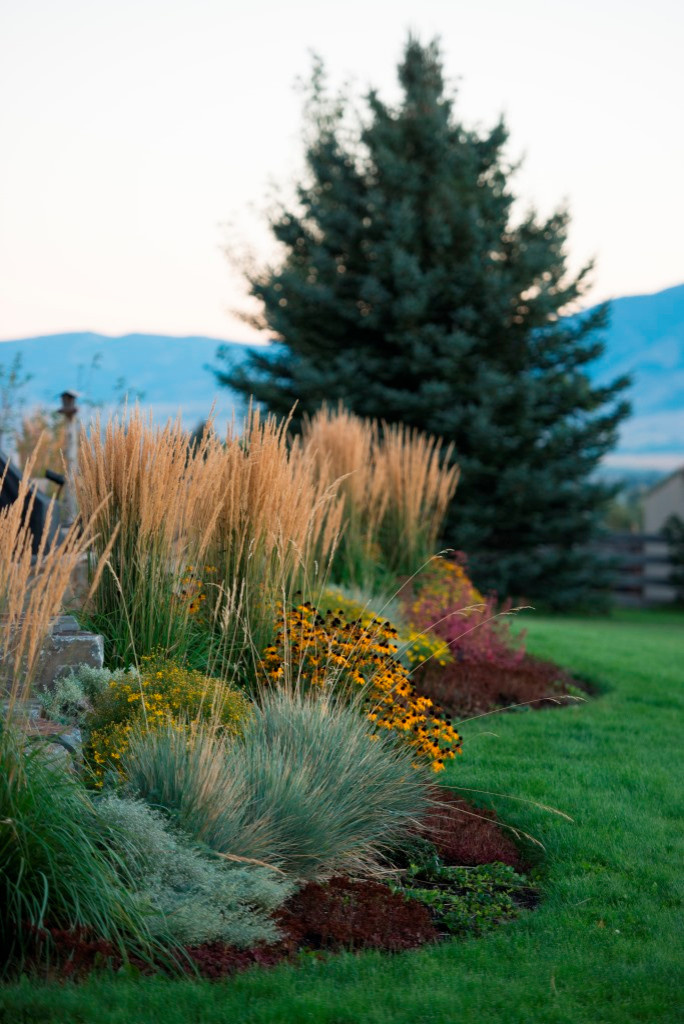 Как правильно: Посадочный материал для сада «новой волны»