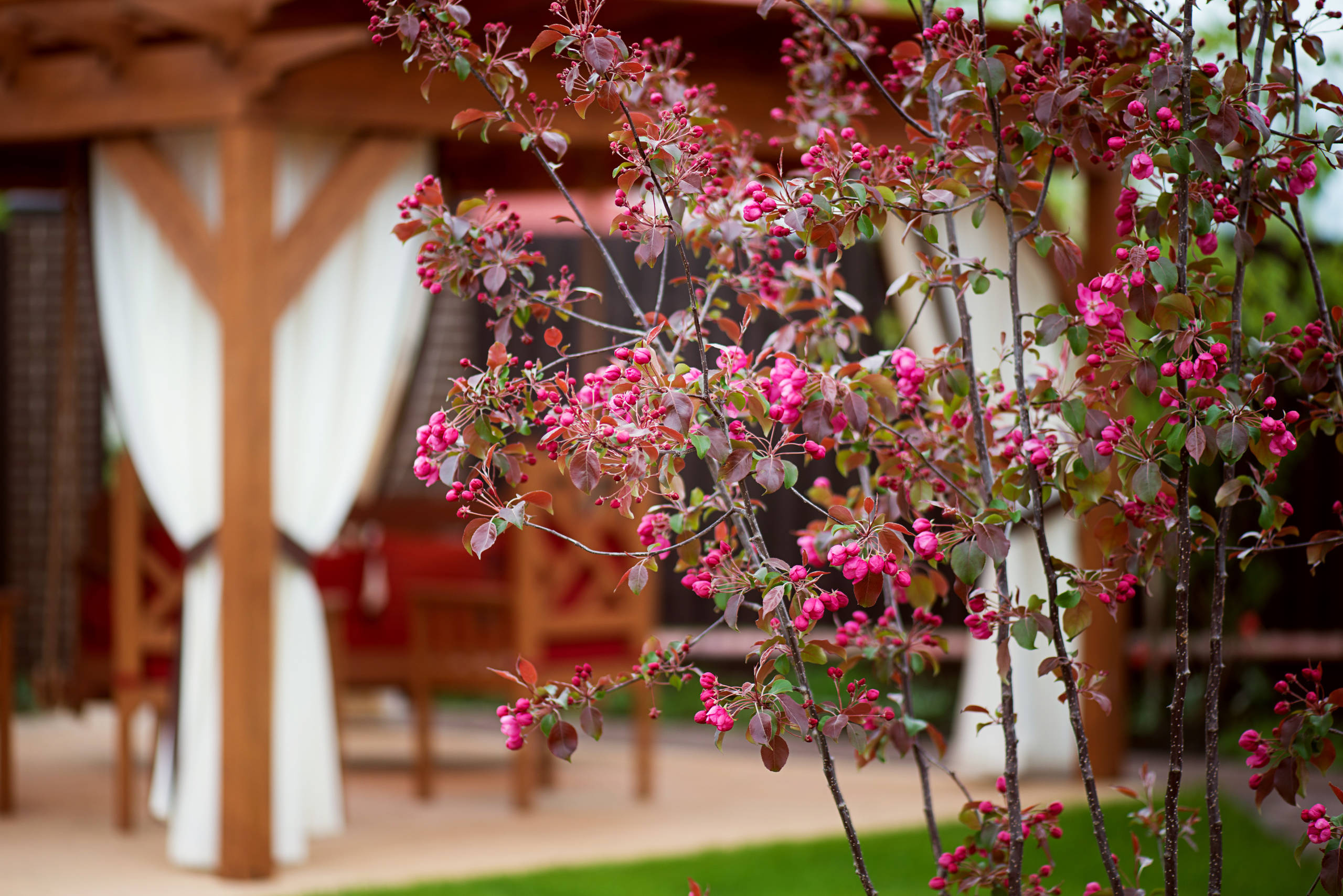 Проект недели: Три времени года в саду под Рязанью