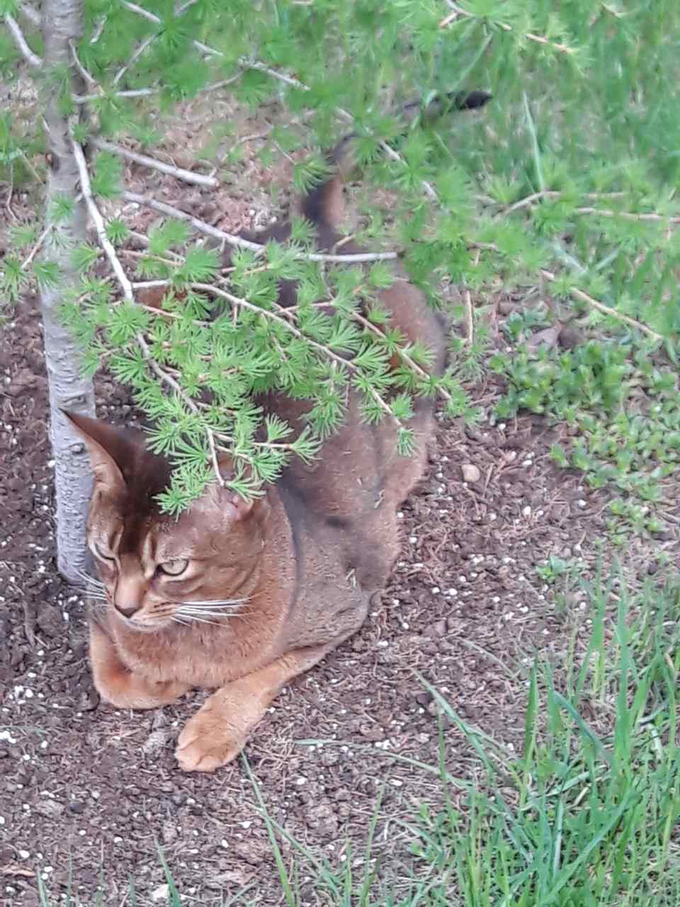 В гостях: Садик в подмосковных Рыбаках — как во Франции