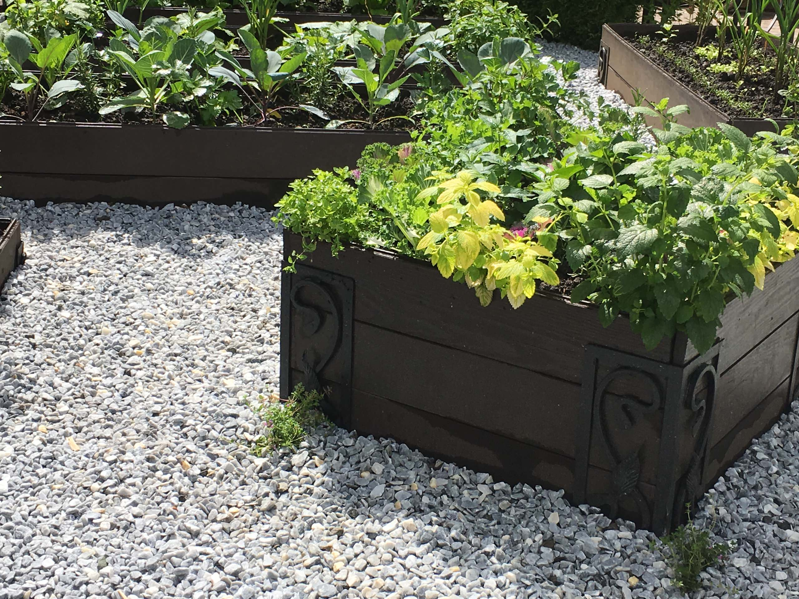 В гостях: Сад на 14 сотках, где живут круглый год