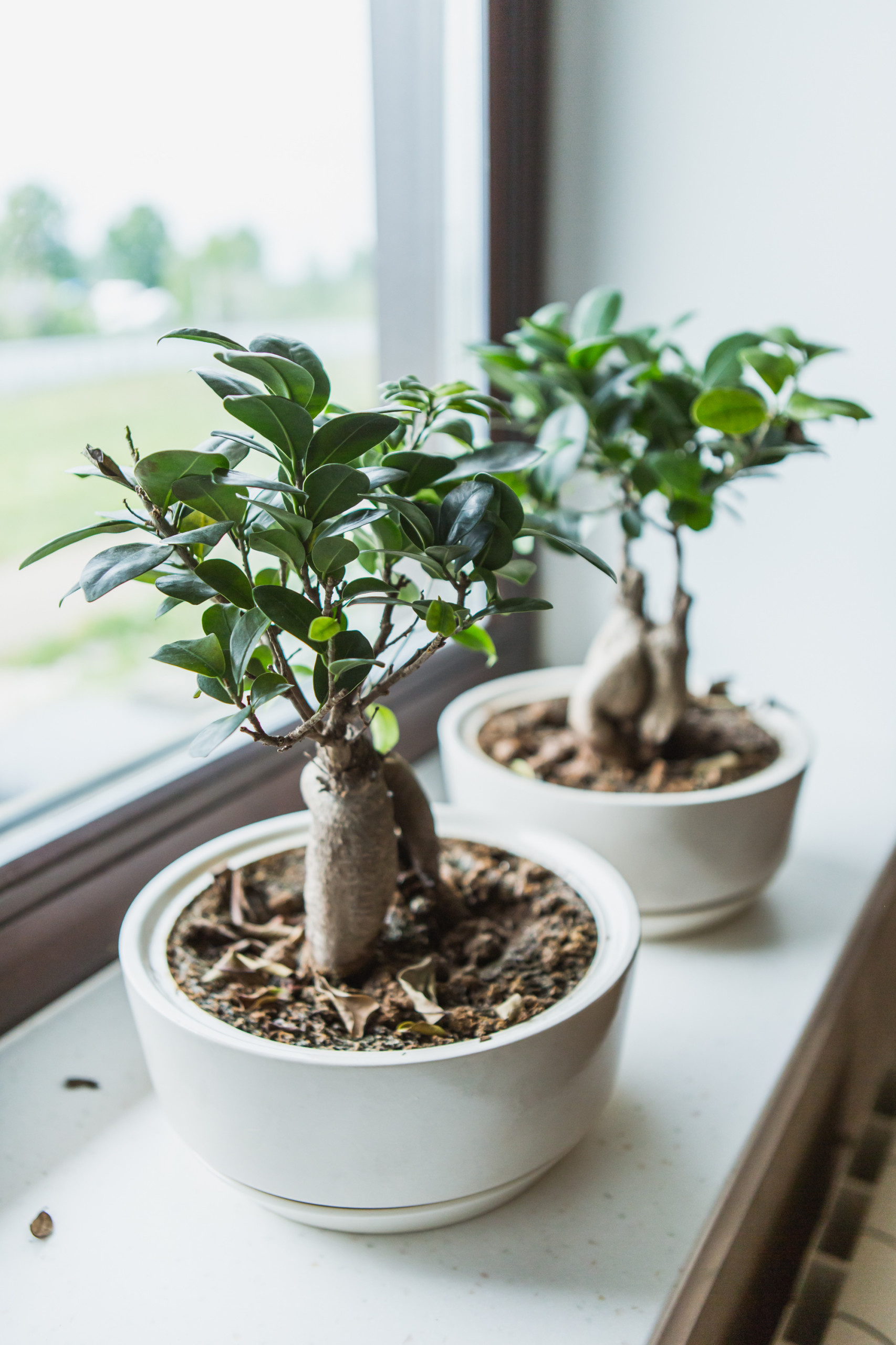 В гостях: Дом у озера