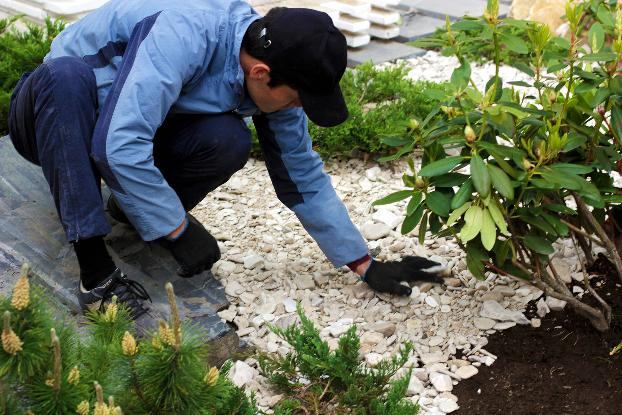 Проект недели: Умный сад на 14 сотках под Петербургом