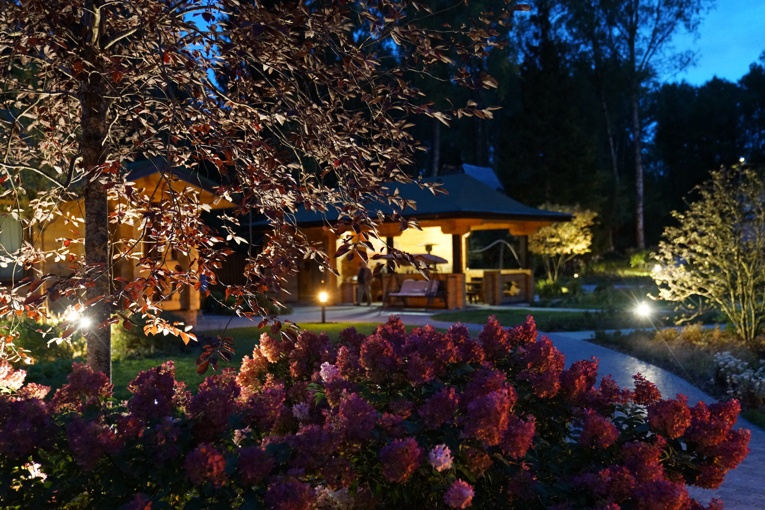 Таймлайн: 11 месяцев на реконструкцию сада 45 соток