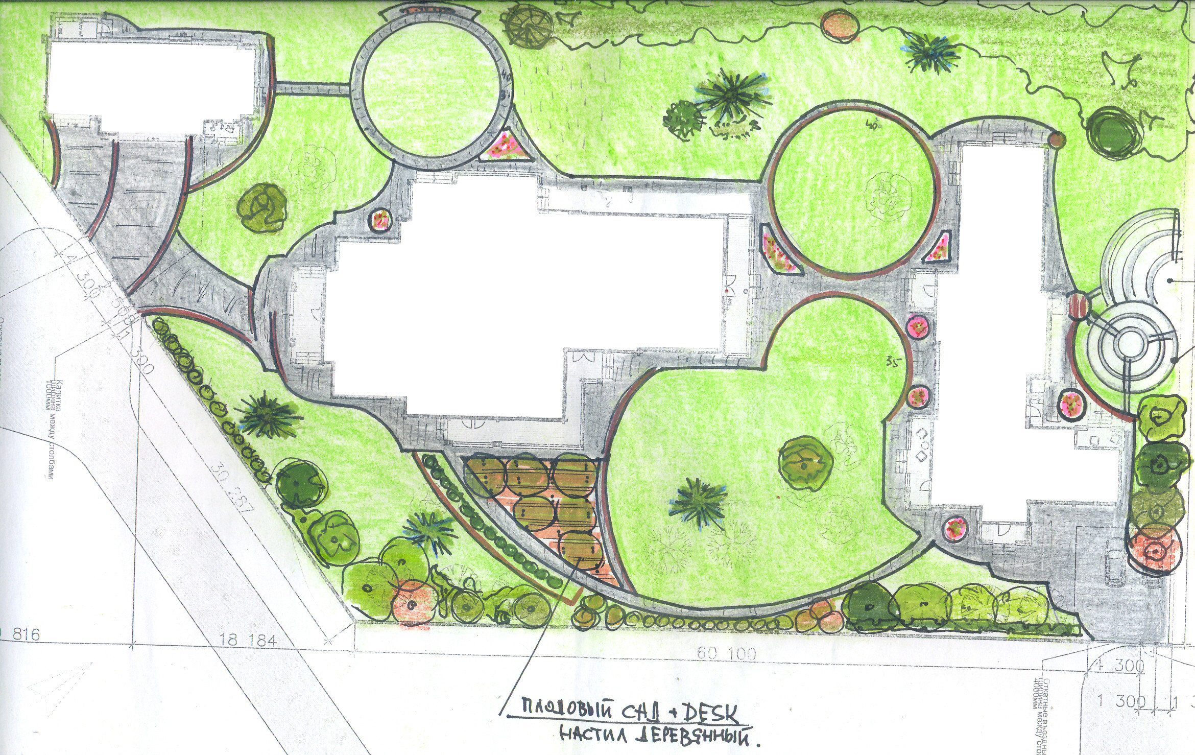 Планировка сада: 3 варианта, финальный генплан + анализ инсоляции