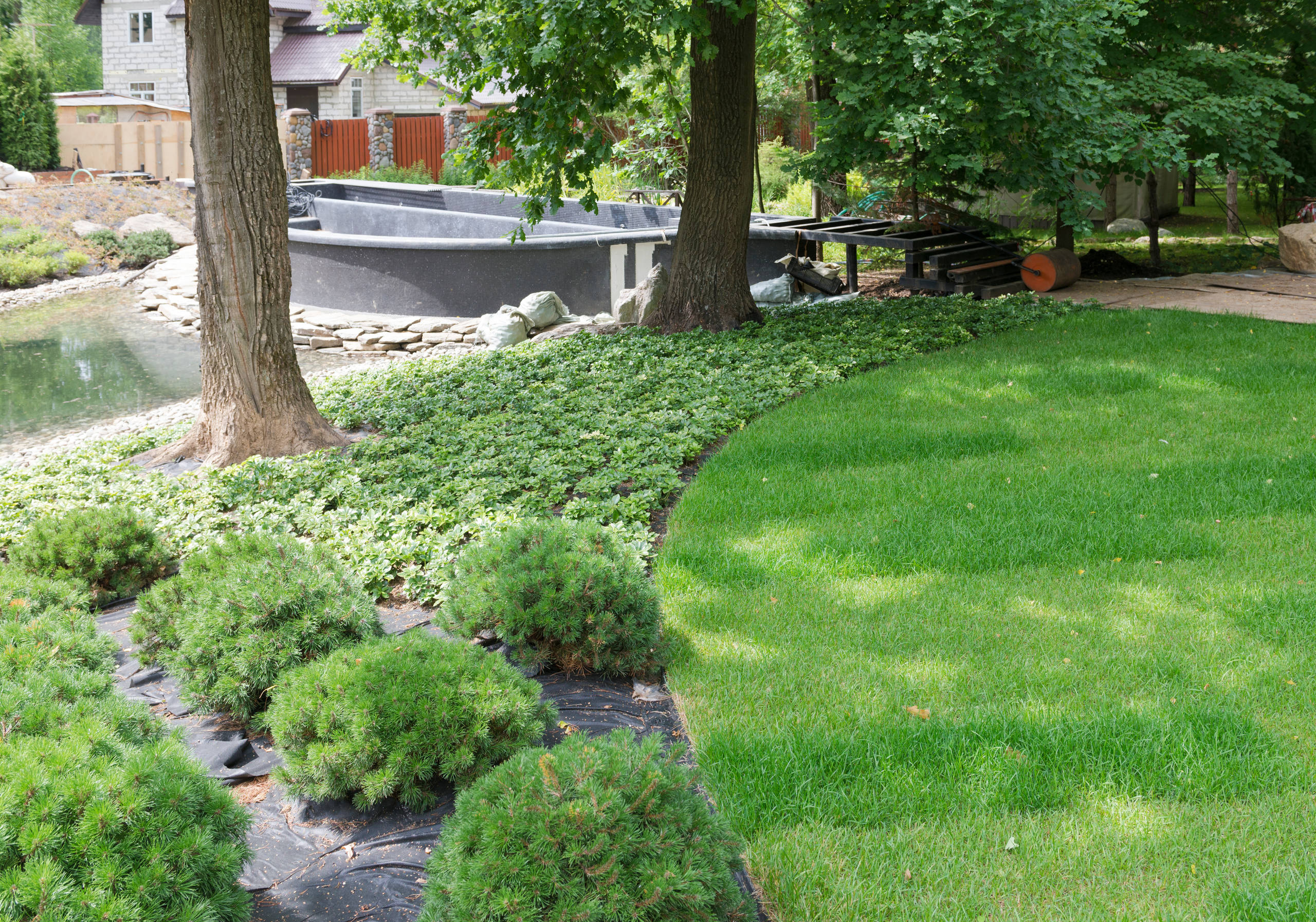 Проект недели: Сад для уникального биодома