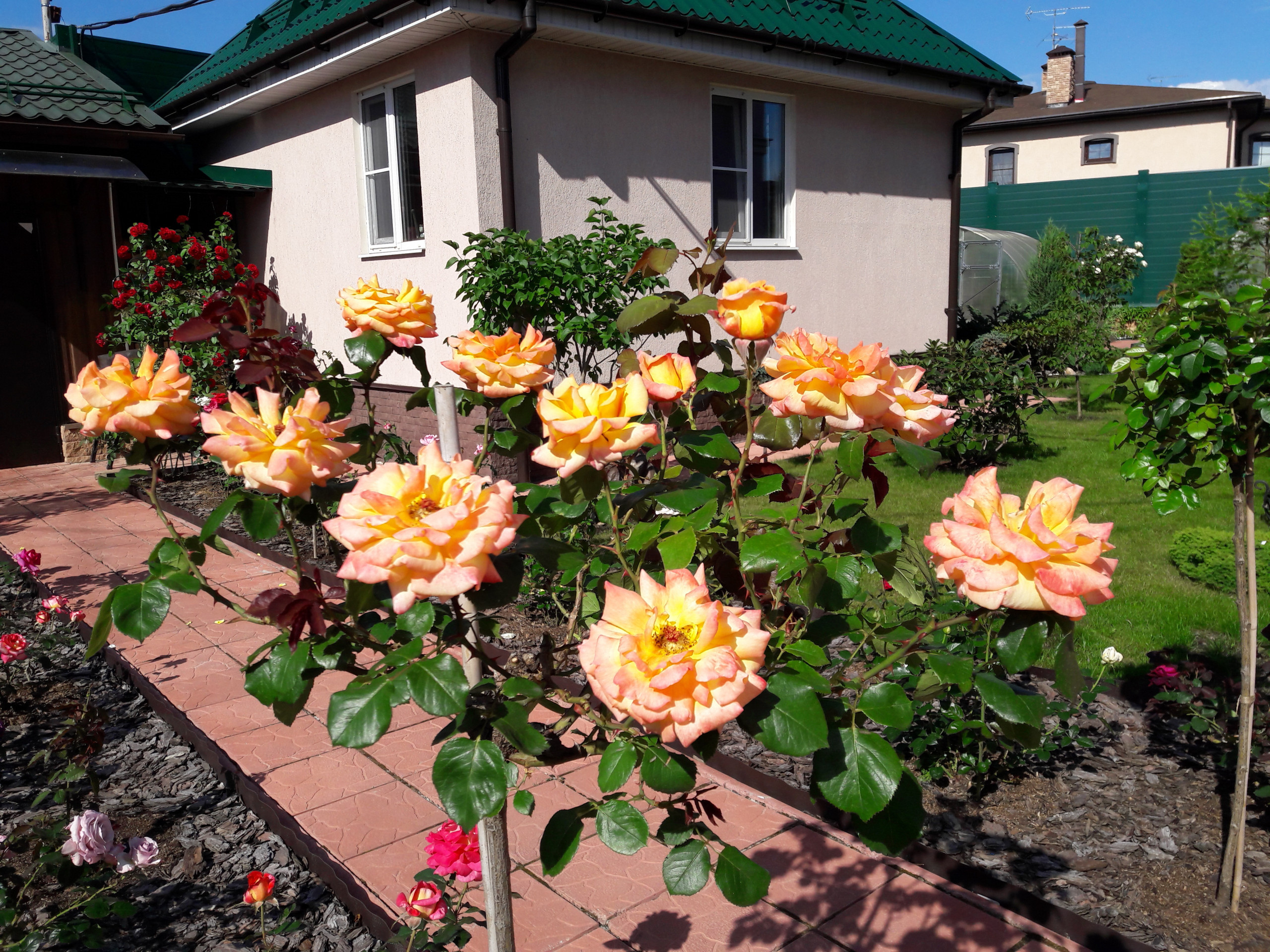 В гостях: Садик в подмосковных Рыбаках — как во Франции