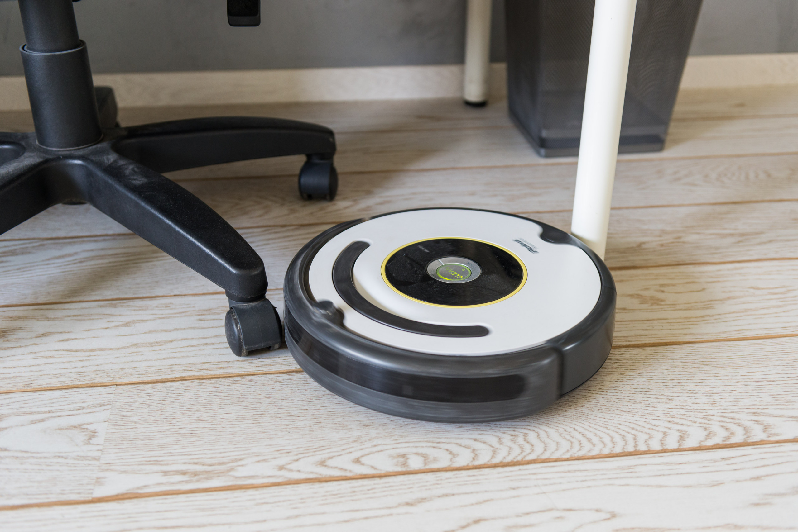 А шубу в шкаф: 5 способов пережить кошачью линьку