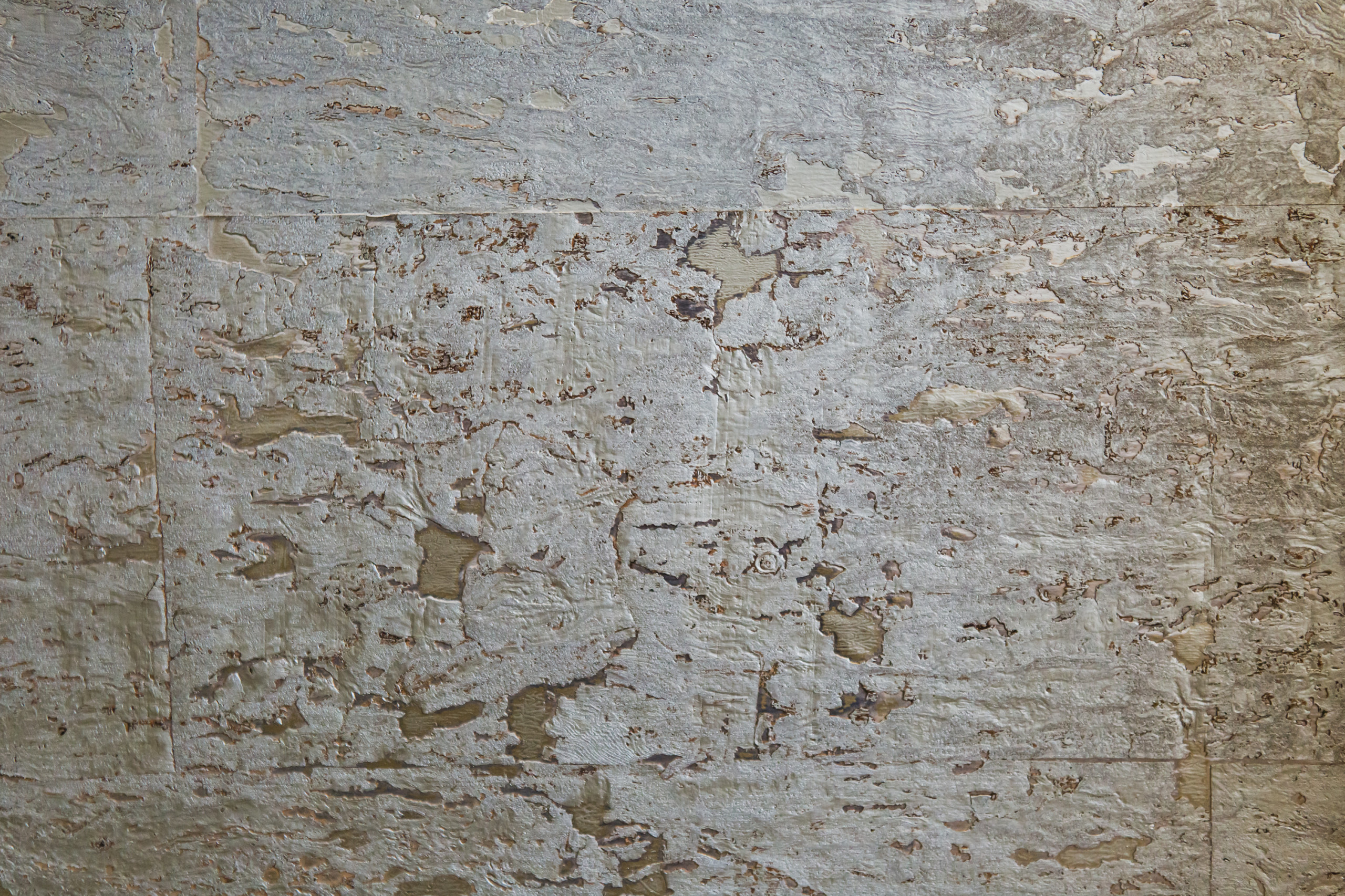 В гостях: Квартира в Измайлово под цвет кошки Алисы