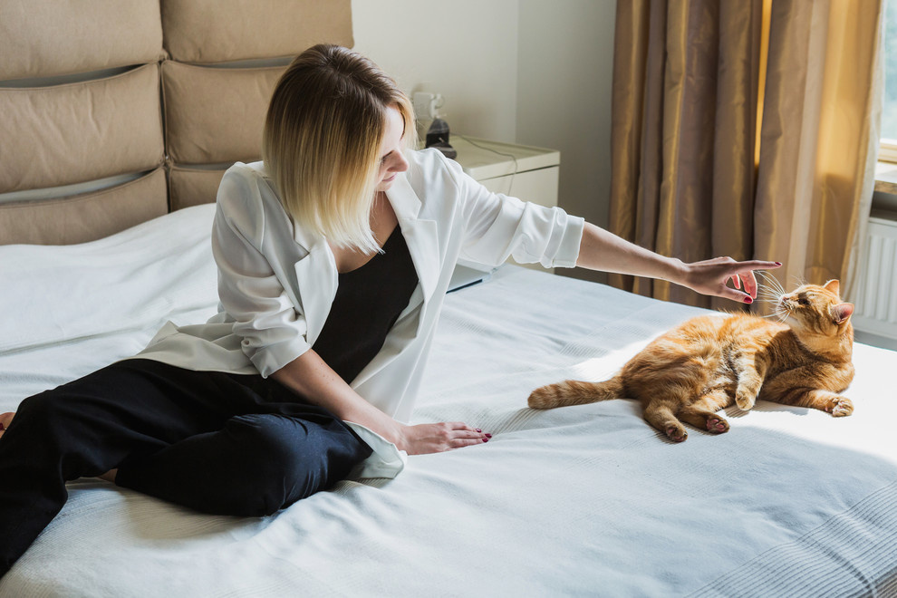 В гостях: Квартира и рабочий кабинет для московских архитекторов