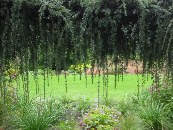 Портрет: Частные экскурсии по лучшим садам мира от центра «Гертруда»